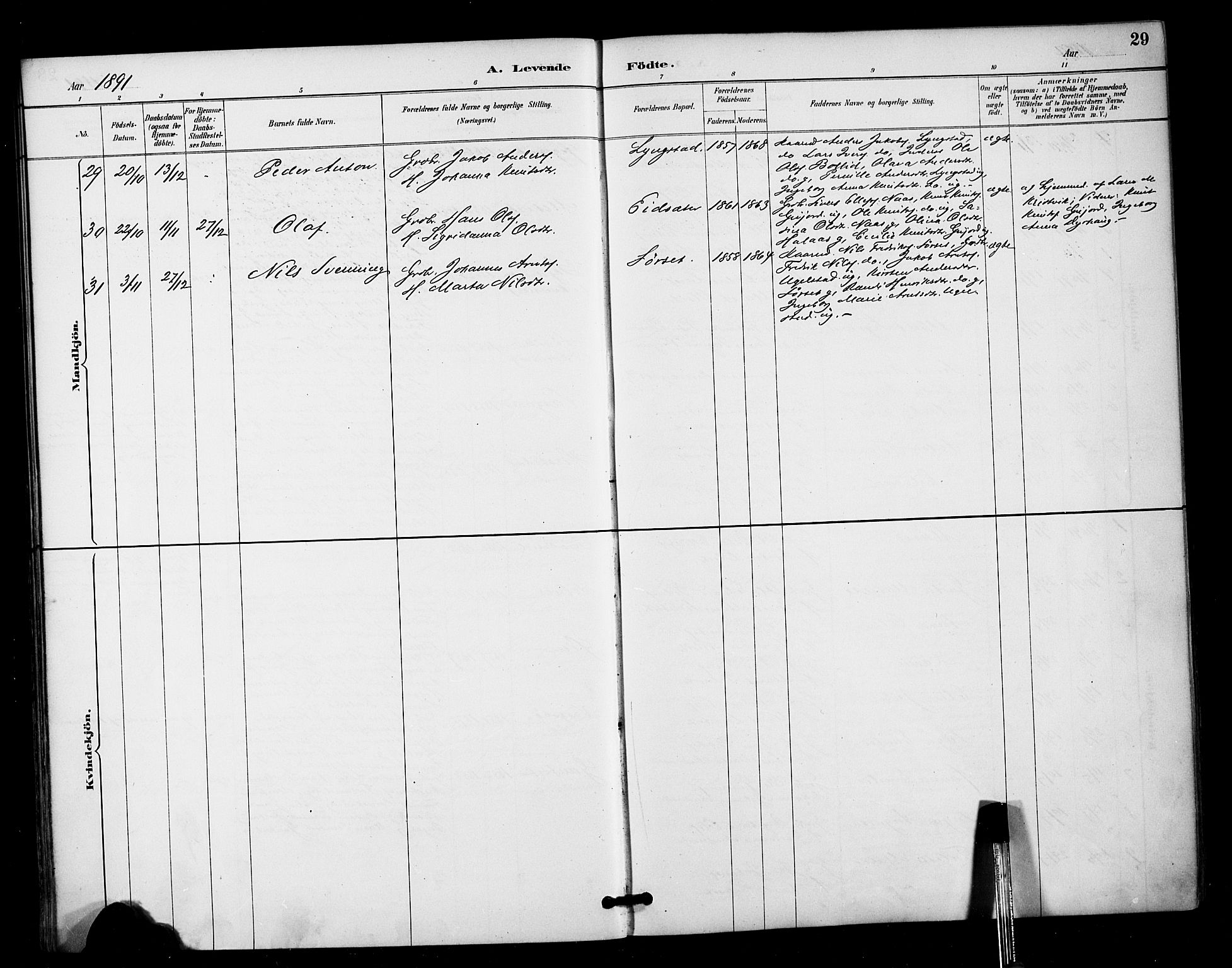 Ministerialprotokoller, klokkerbøker og fødselsregistre - Møre og Romsdal, AV/SAT-A-1454/571/L0836: Parish register (official) no. 571A01, 1884-1899, p. 29