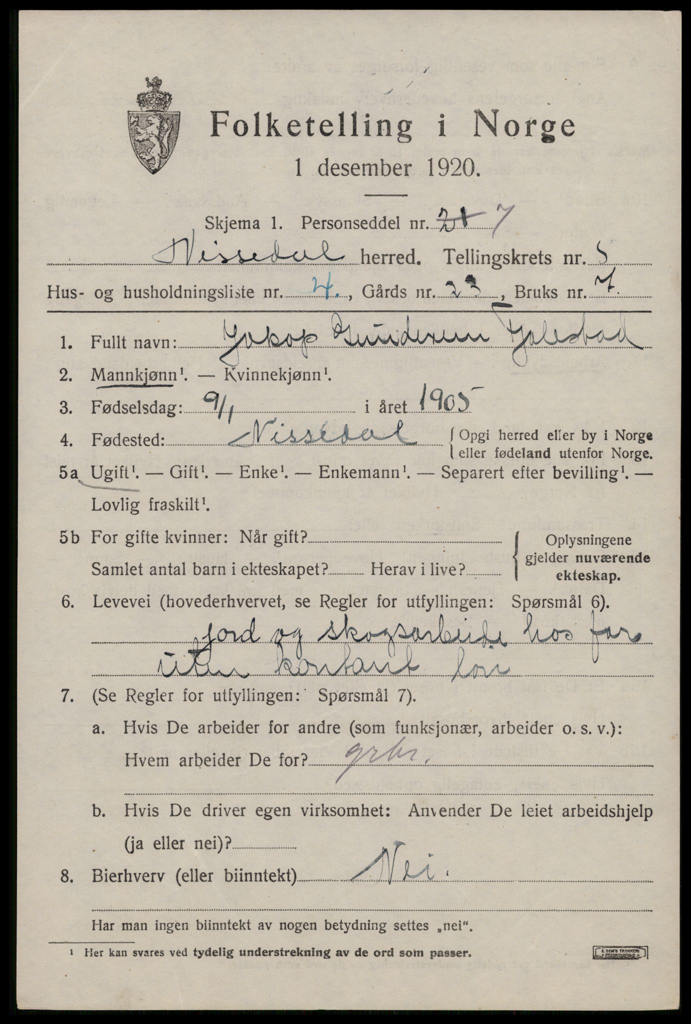 SAKO, 1920 census for Nissedal, 1920, p. 2071