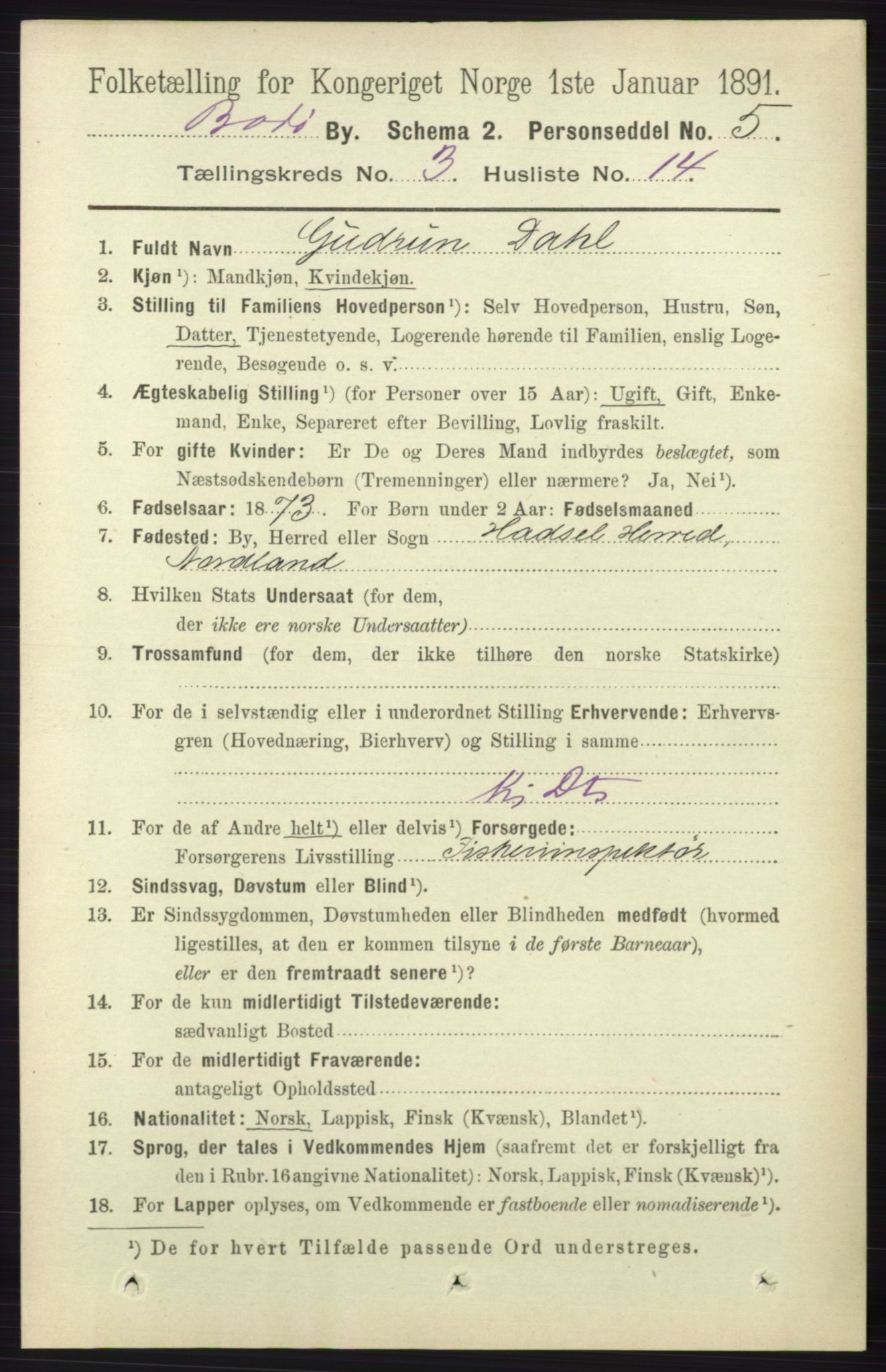 RA, 1891 census for 1804 Bodø, 1891, p. 2184