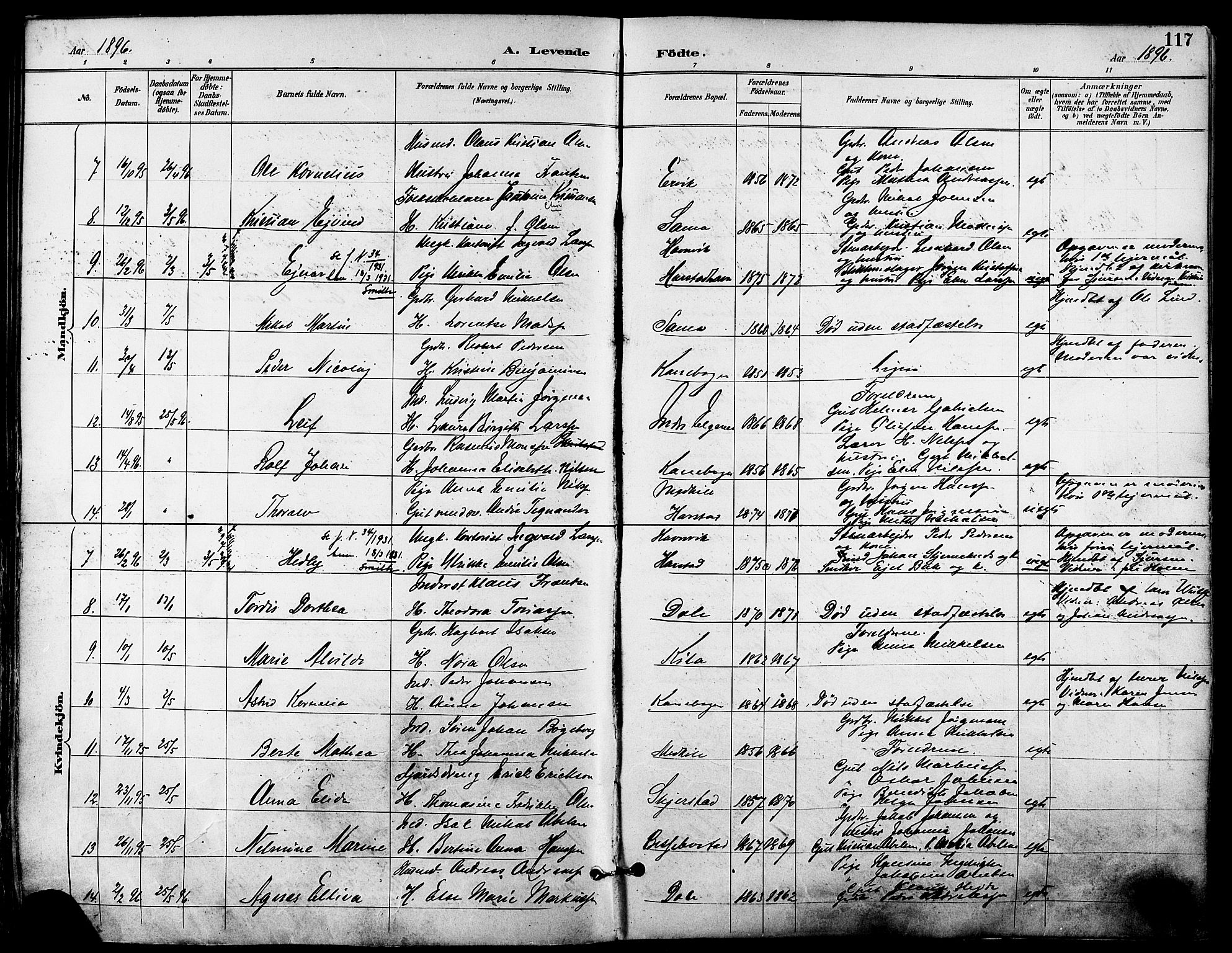 Trondenes sokneprestkontor, SATØ/S-1319/H/Ha/L0016kirke: Parish register (official) no. 16, 1890-1898, p. 117