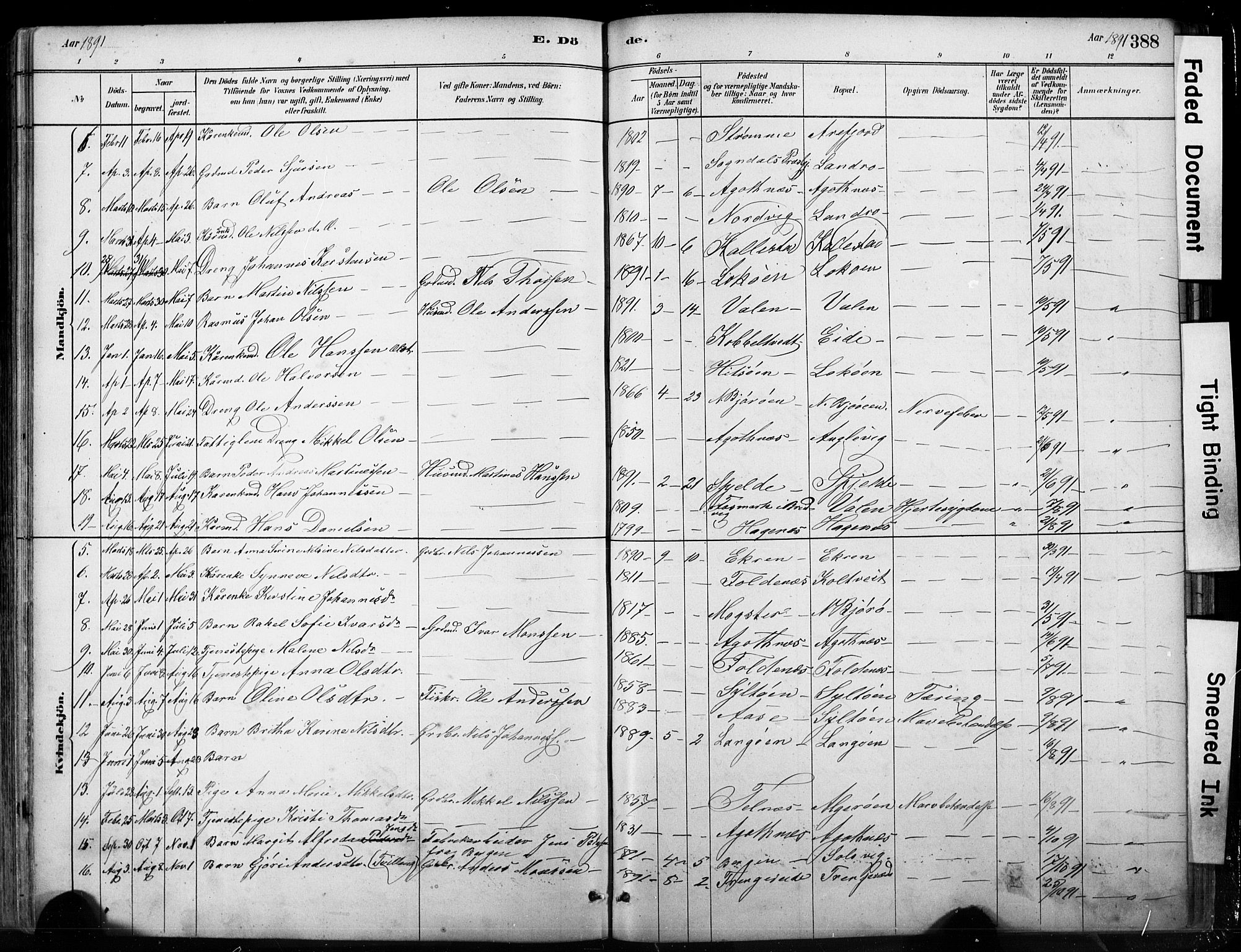 Fjell sokneprestembete, SAB/A-75301/H/Hab: Parish register (copy) no. A 4, 1880-1899, p. 388