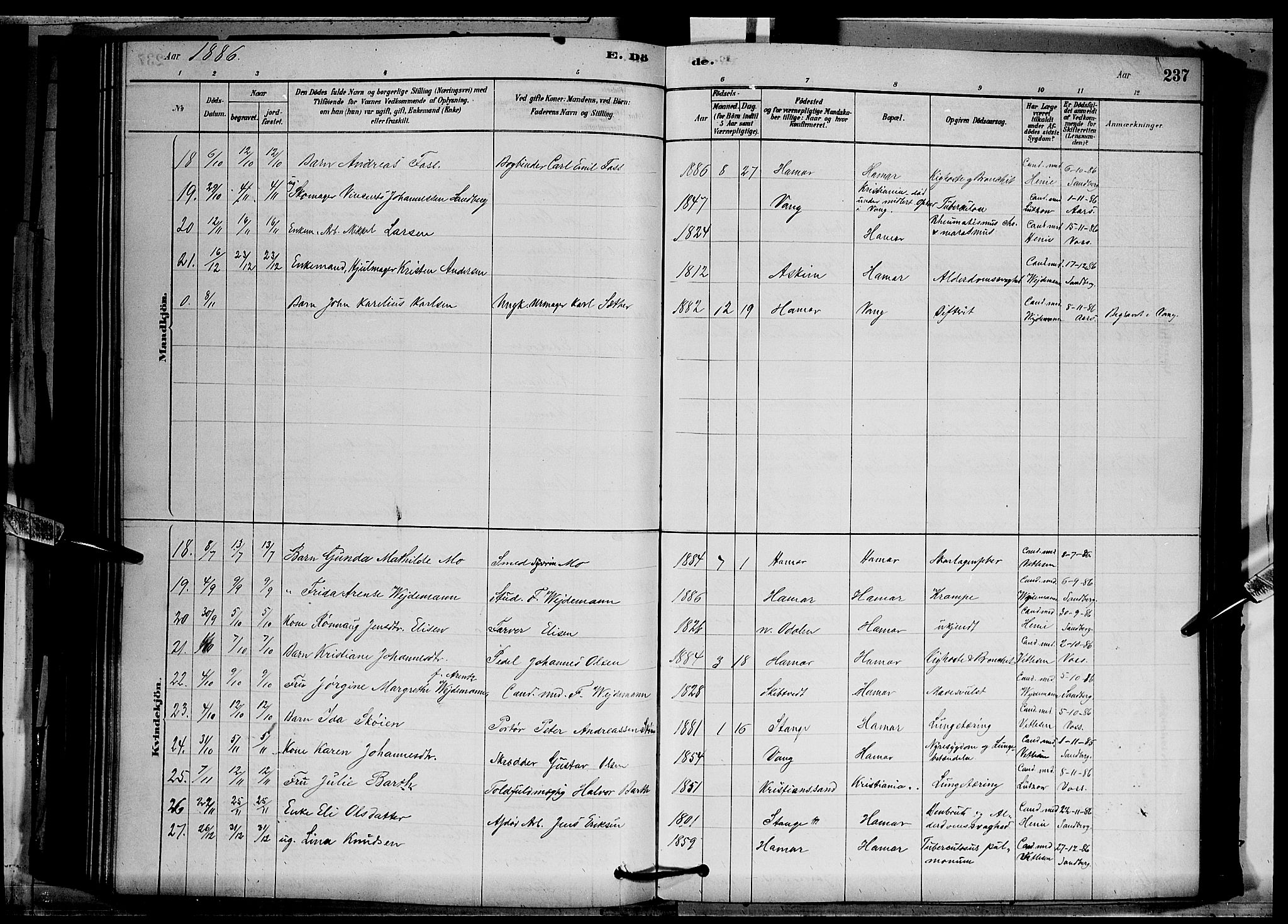 Vang prestekontor, Hedmark, SAH/PREST-008/H/Ha/Hab/L0012: Parish register (copy) no. 12, 1878-1889, p. 237