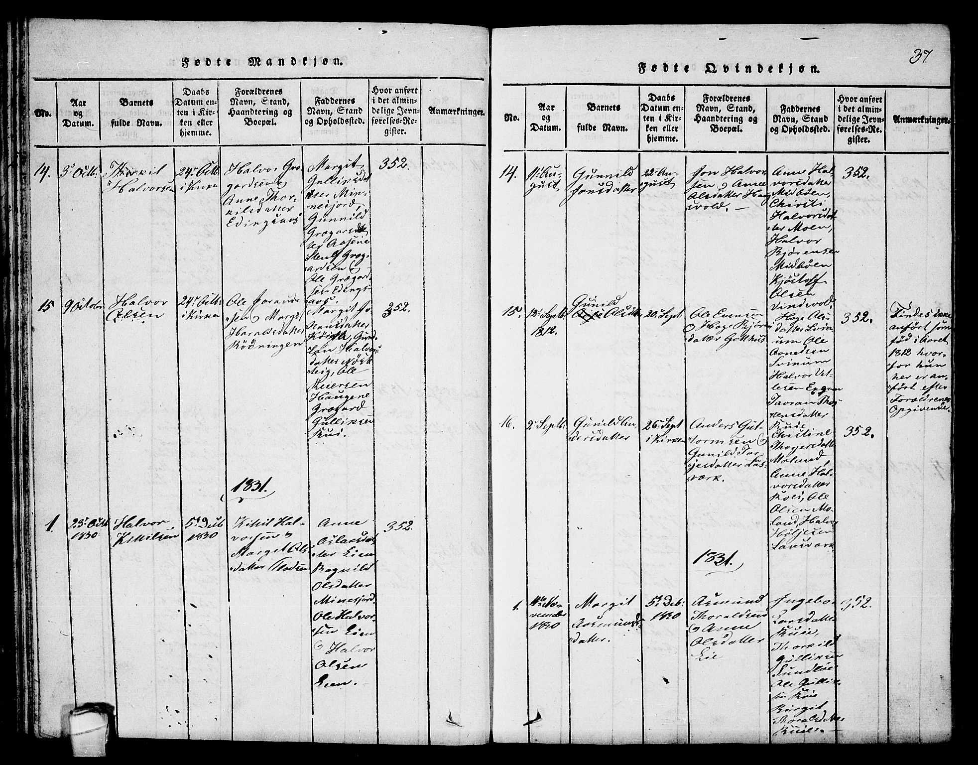 Seljord kirkebøker, SAKO/A-20/F/Fb/L0001: Parish register (official) no. II 1, 1815-1831, p. 37
