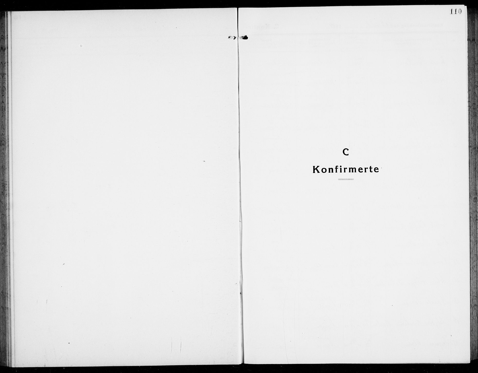 Brunlanes kirkebøker, SAKO/A-342/G/Ga/L0005: Parish register (copy) no. I 5, 1918-1941, p. 110