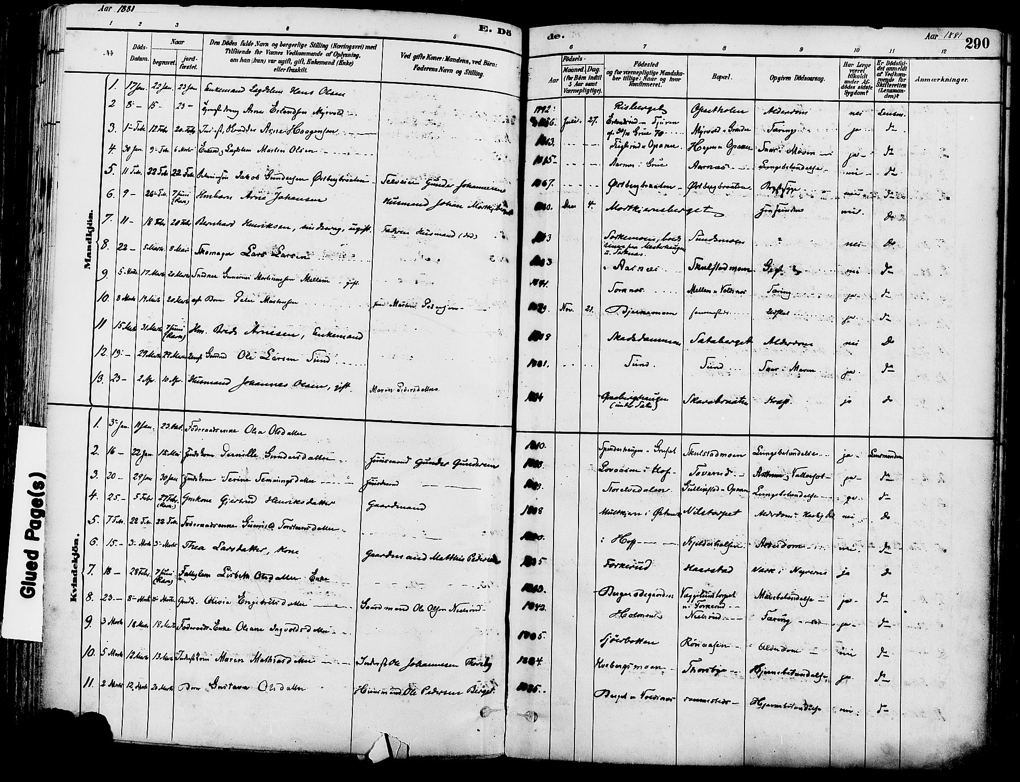 Grue prestekontor, SAH/PREST-036/H/Ha/Haa/L0012: Parish register (official) no. 12, 1881-1897, p. 290