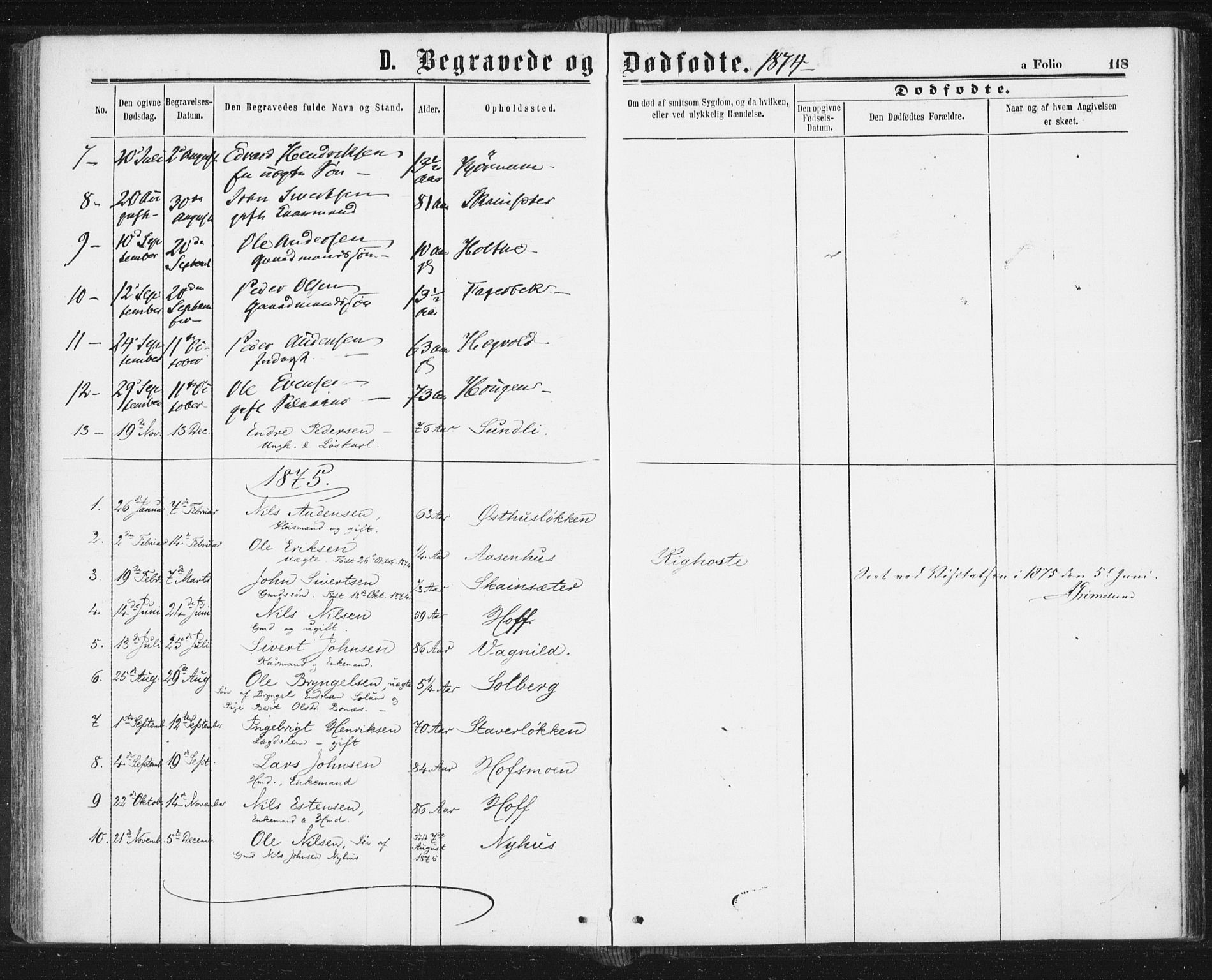 Ministerialprotokoller, klokkerbøker og fødselsregistre - Sør-Trøndelag, SAT/A-1456/689/L1039: Parish register (official) no. 689A04, 1865-1878, p. 118