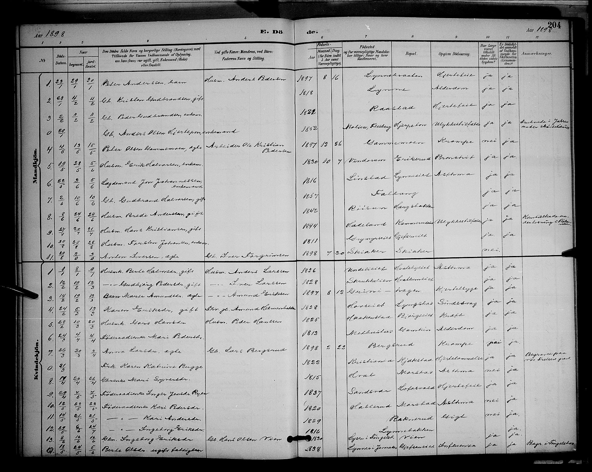 Gran prestekontor, SAH/PREST-112/H/Ha/Hab/L0005: Parish register (copy) no. 5, 1892-1900, p. 204