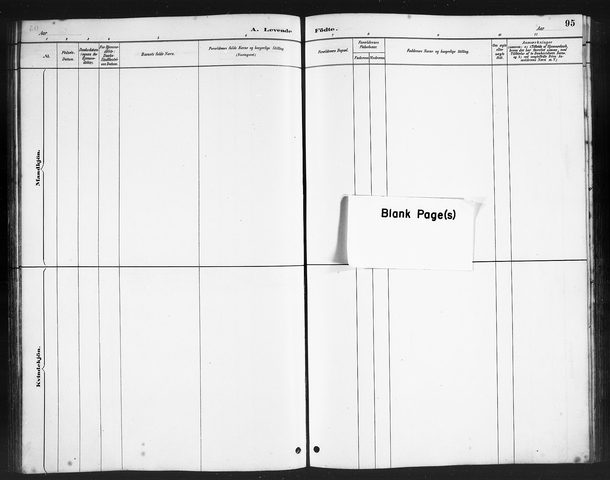 Ministerialprotokoller, klokkerbøker og fødselsregistre - Nordland, AV/SAT-A-1459/808/L0131: Parish register (copy) no. 808C02, 1879-1919, p. 95