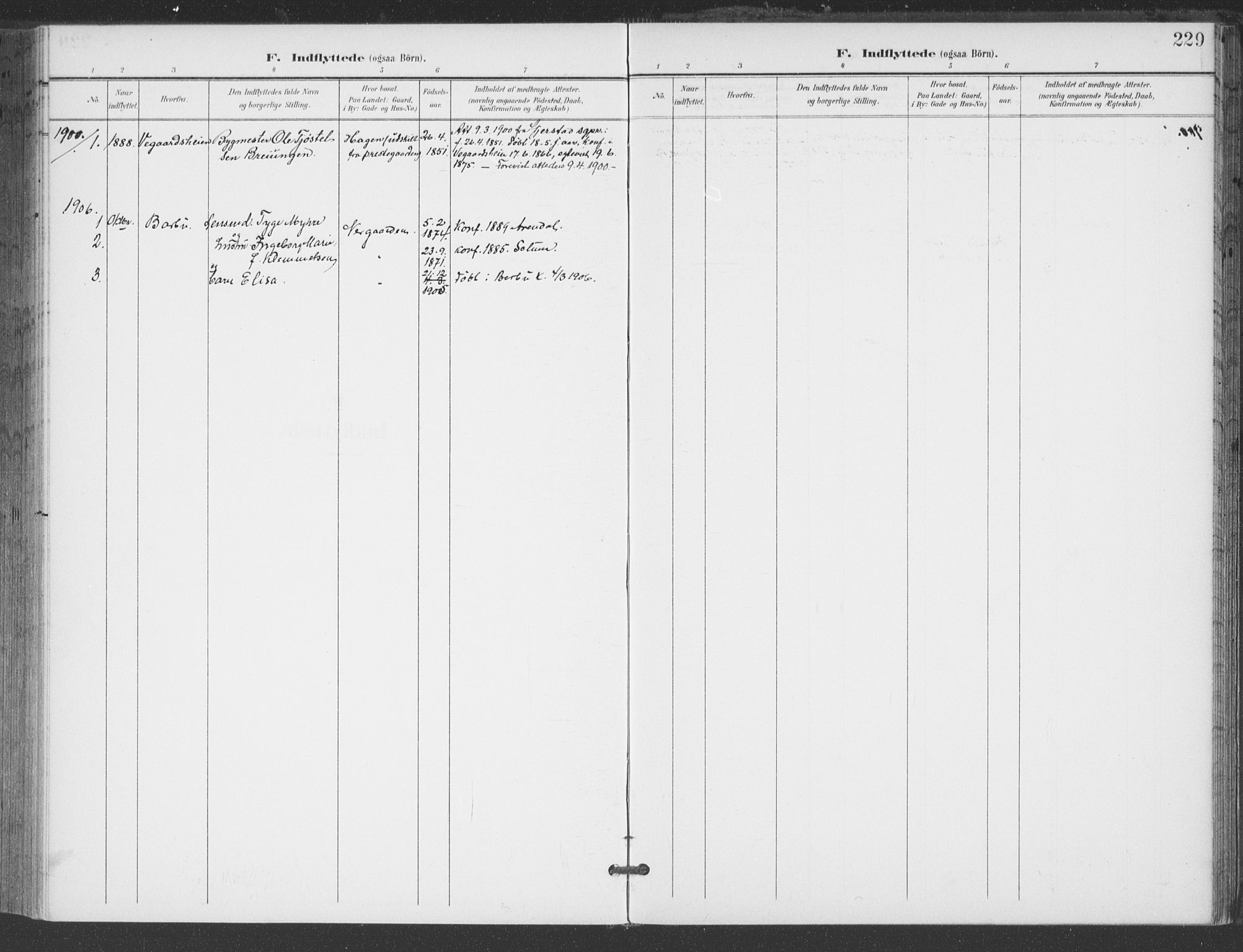 Åmli sokneprestkontor, AV/SAK-1111-0050/F/Fa/Fac/L0012: Parish register (official) no. A 12, 1900-1914, p. 229