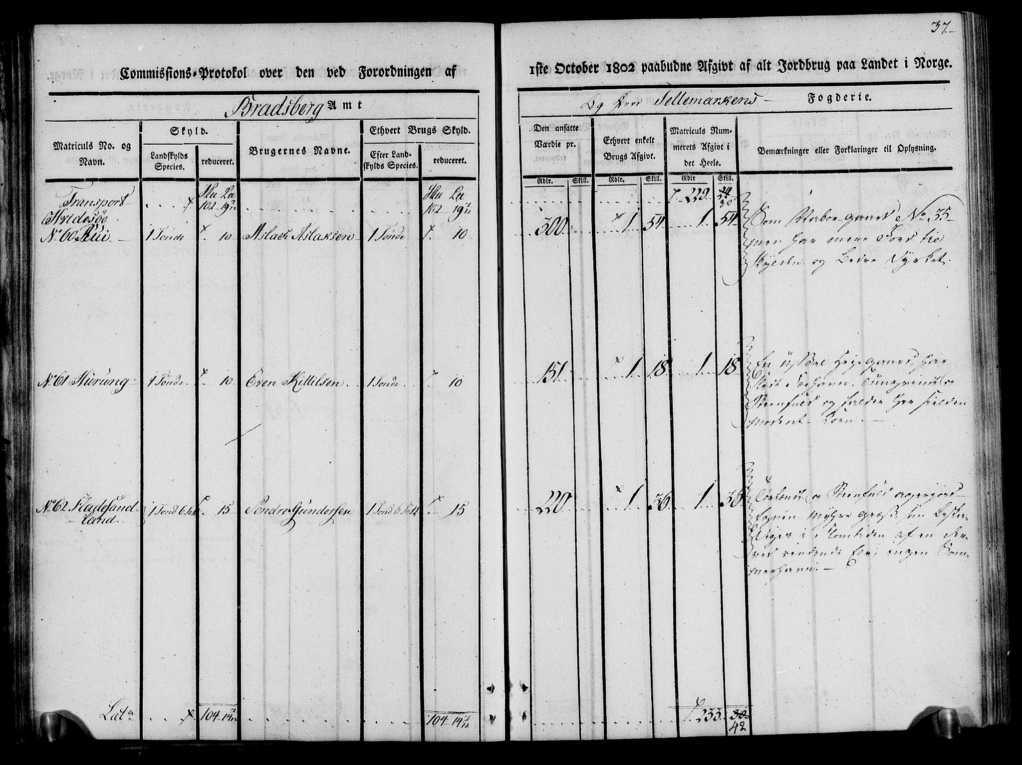 Rentekammeret inntil 1814, Realistisk ordnet avdeling, AV/RA-EA-4070/N/Ne/Nea/L0075: Øvre Telemarken fogderi. Kommisjonsprotokoll for fogderiets vestre del - Kviteseid, Vinje, Moland [):Fyresdal] og Lårdal prestegjeld., 1803, p. 37