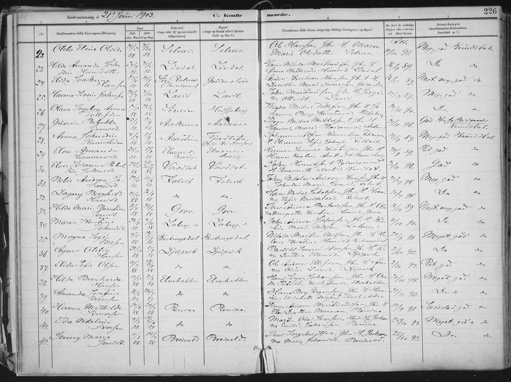 Ibestad sokneprestembete, AV/SATØ-S-0077/H/Ha/Haa/L0017kirke: Parish register (official) no. 17, 1901-1914, p. 226