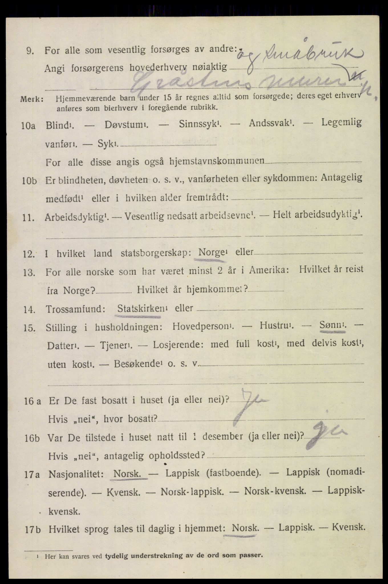 SAT, 1920 census for Bodin, 1920, p. 12281