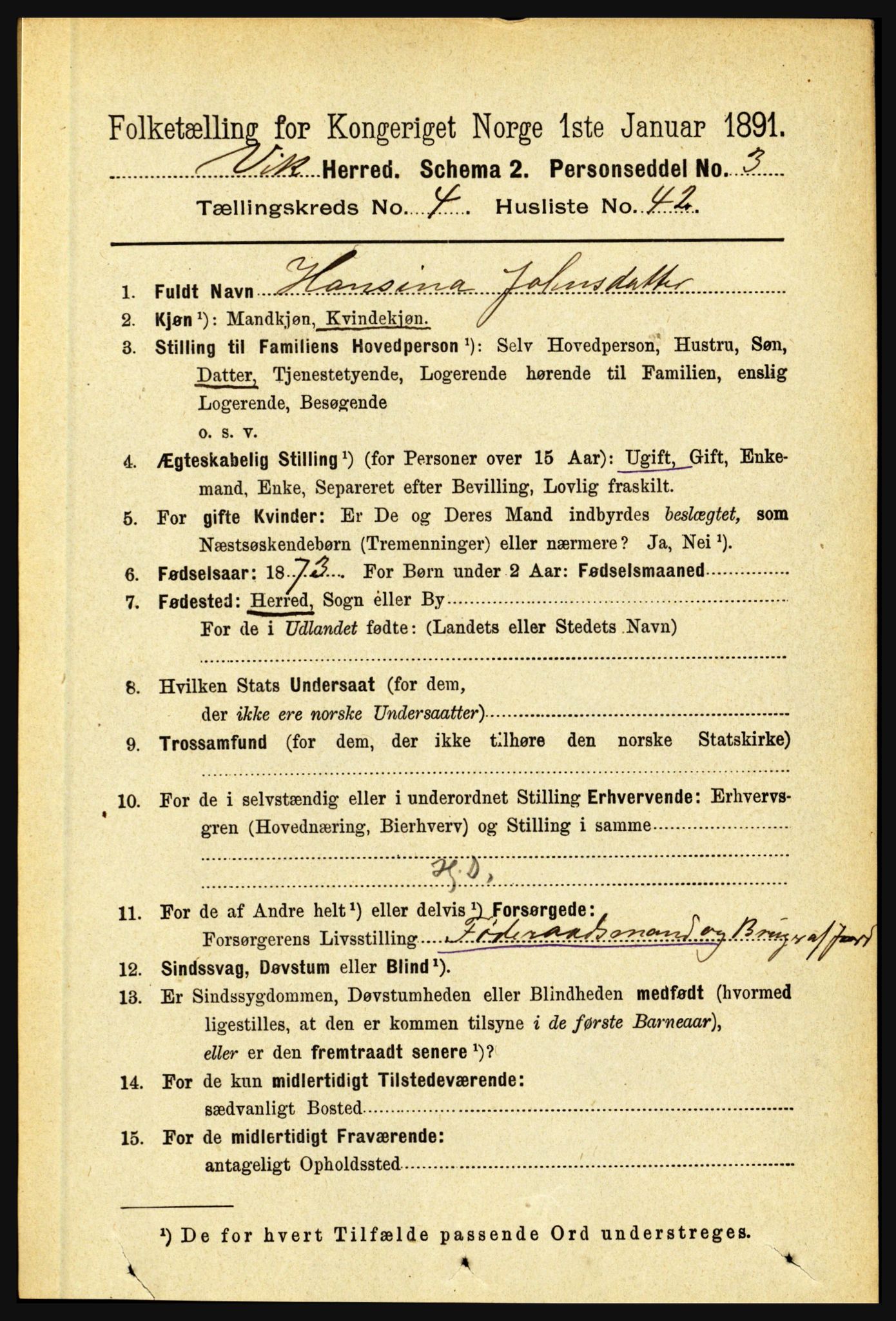 RA, 1891 census for 1417 Vik, 1891, p. 2029