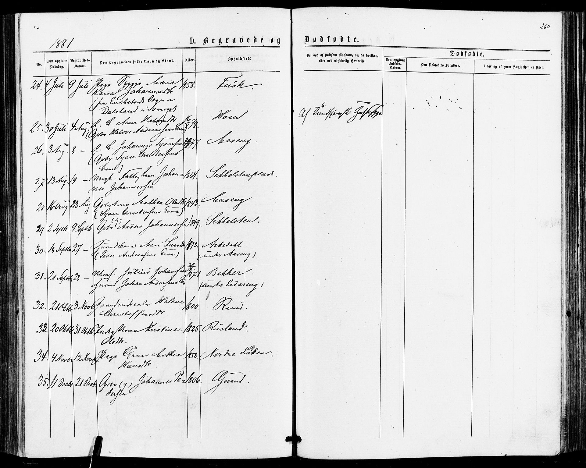 Askim prestekontor Kirkebøker, AV/SAO-A-10900/F/Fa/L0006: Parish register (official) no. 6, 1874-1881, p. 260