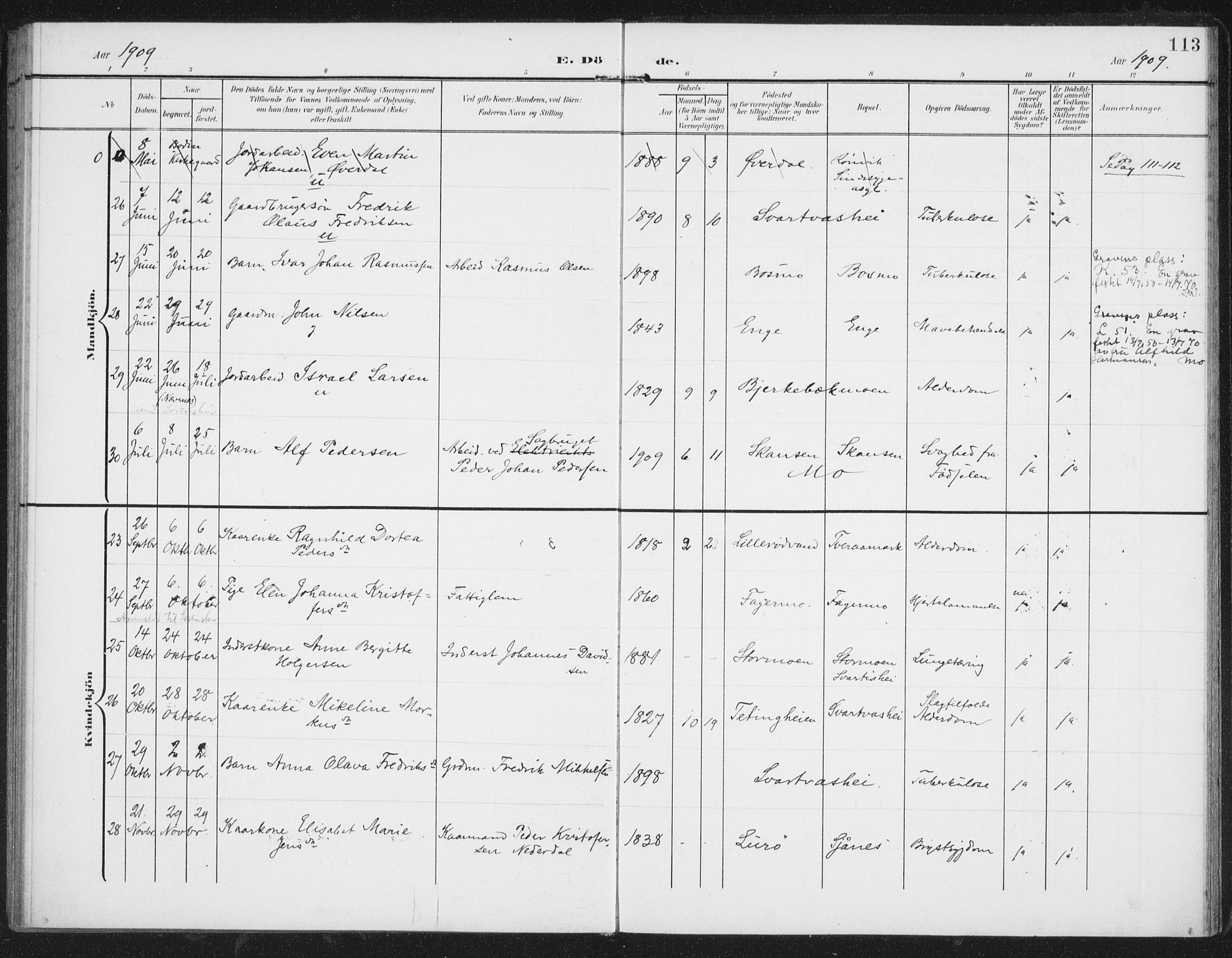 Ministerialprotokoller, klokkerbøker og fødselsregistre - Nordland, AV/SAT-A-1459/827/L0403: Parish register (official) no. 827A15, 1903-1912, p. 113