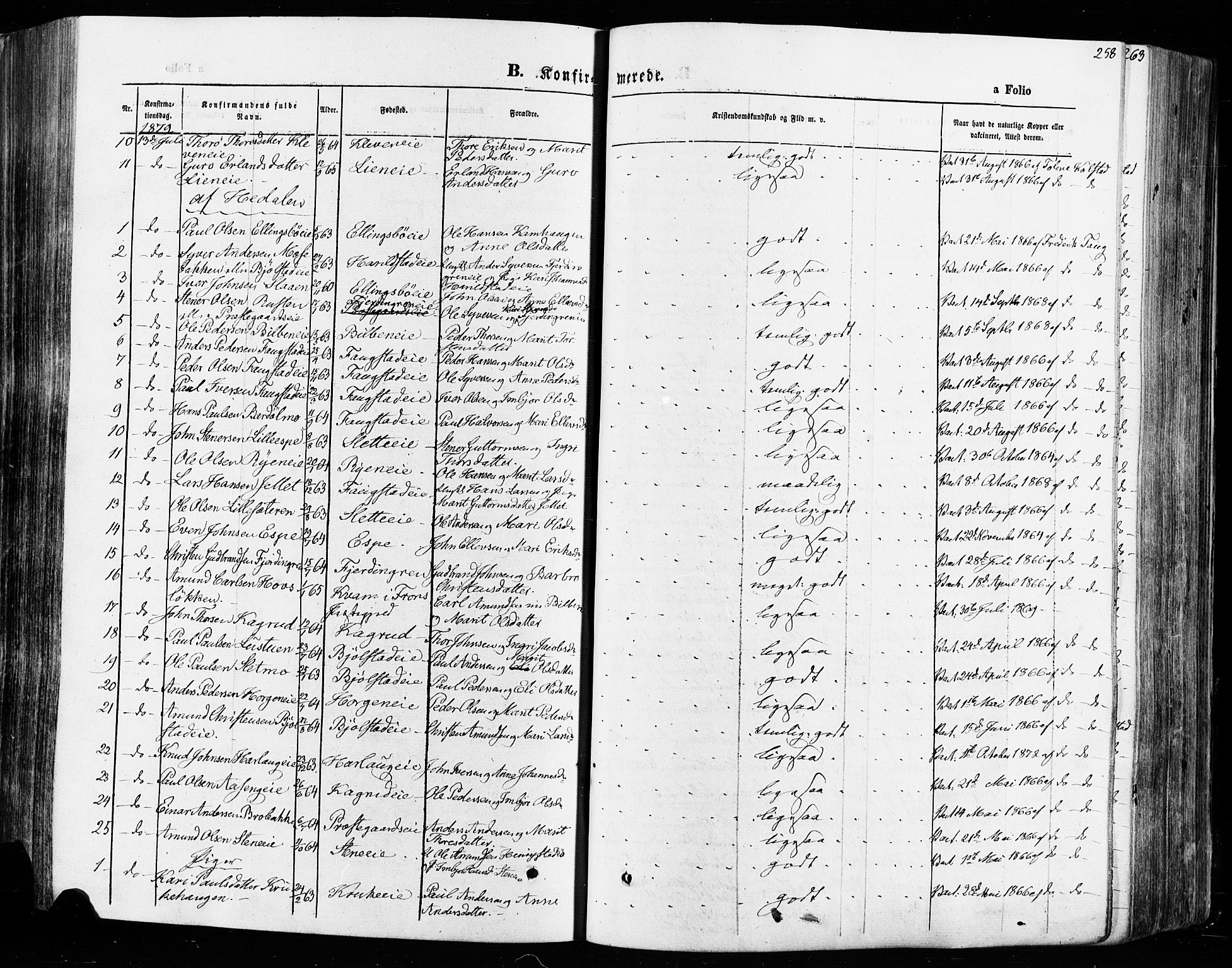 Vågå prestekontor, SAH/PREST-076/H/Ha/Haa/L0007: Parish register (official) no. 7 /1, 1872-1886, p. 258