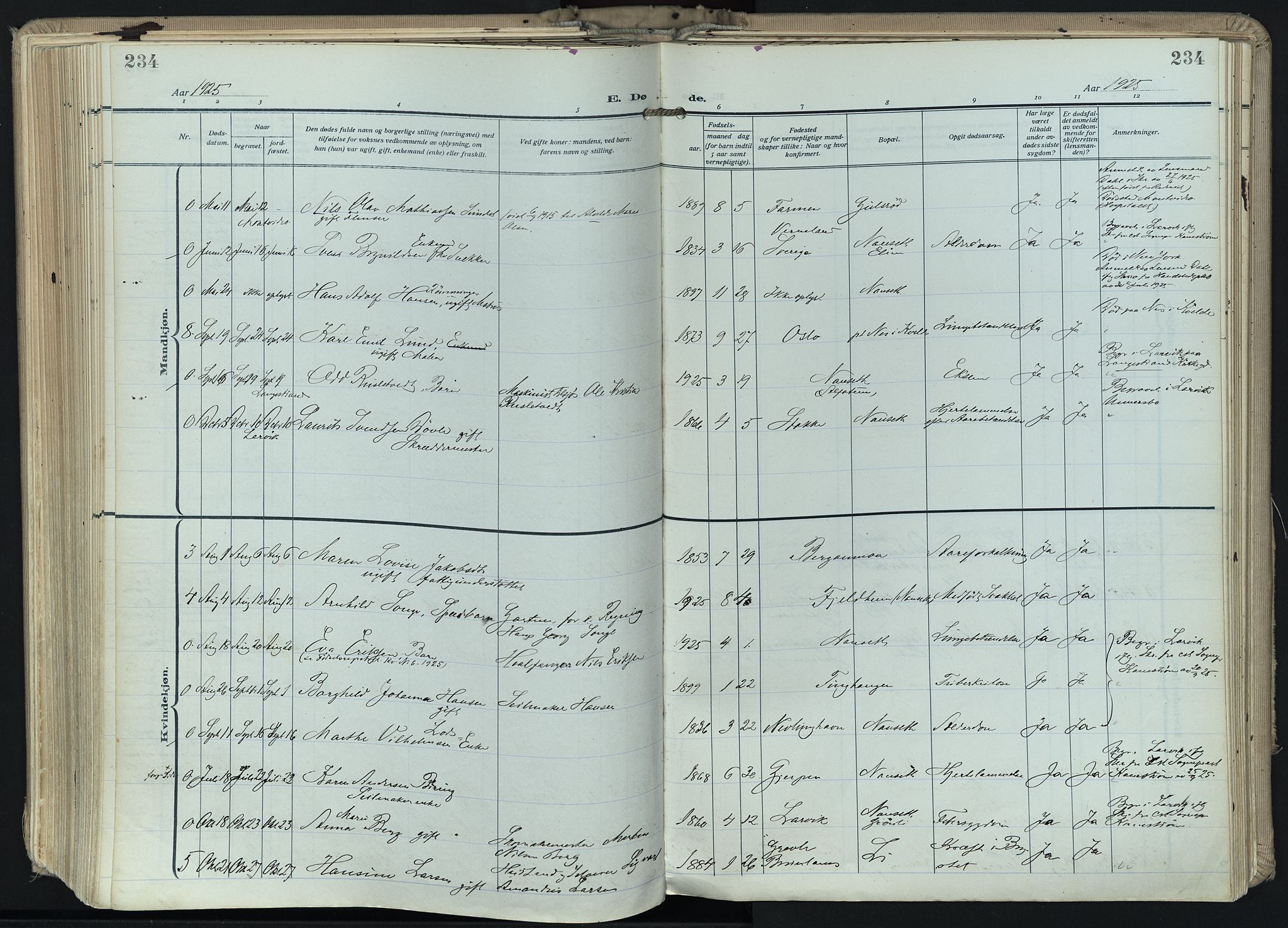 Hedrum kirkebøker, AV/SAKO-A-344/F/Fa/L0011: Parish register (official) no. I 11, 1919-1933, p. 234