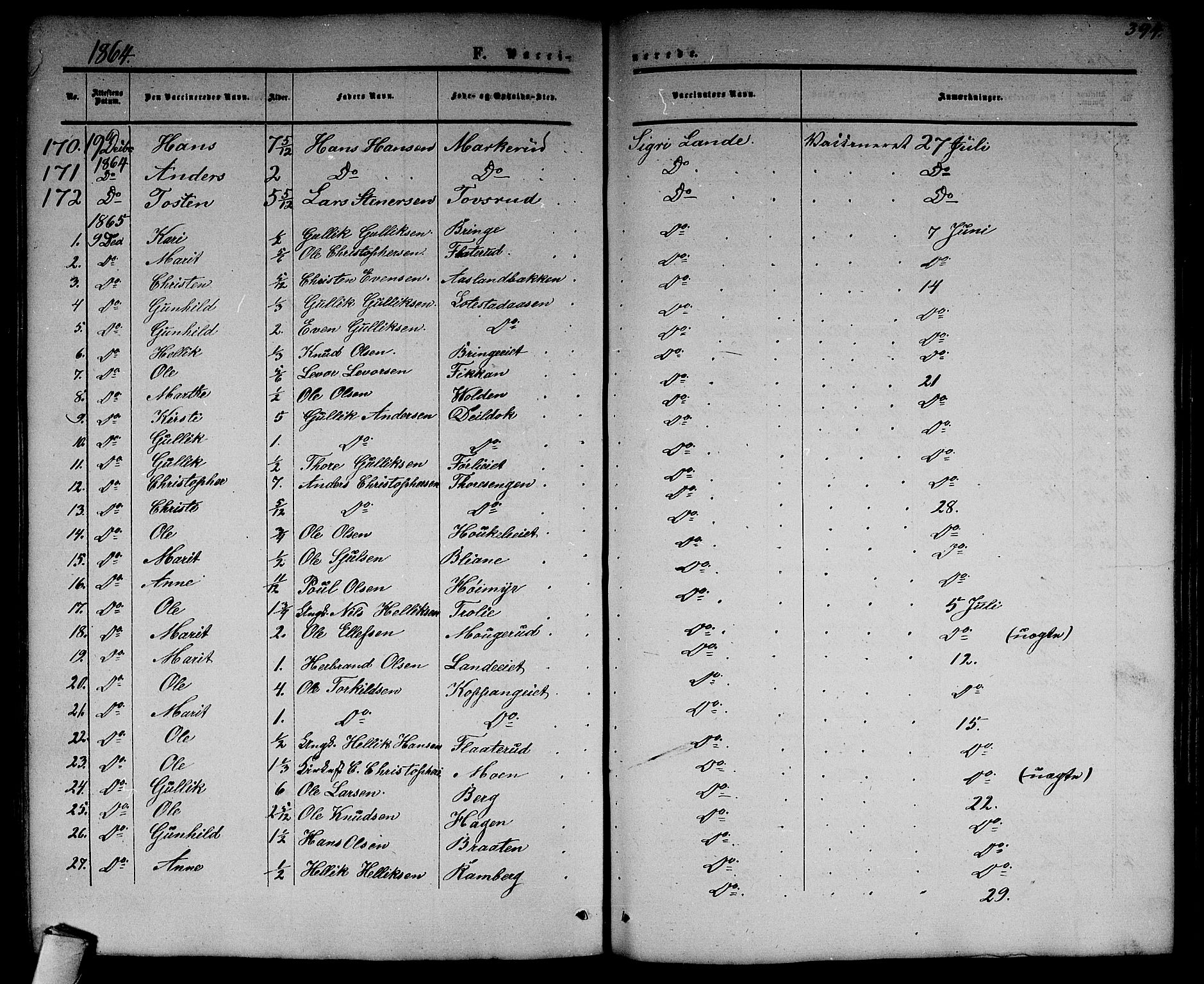 Flesberg kirkebøker, SAKO/A-18/G/Ga/L0003: Parish register (copy) no. I 3, 1861-1889, p. 394
