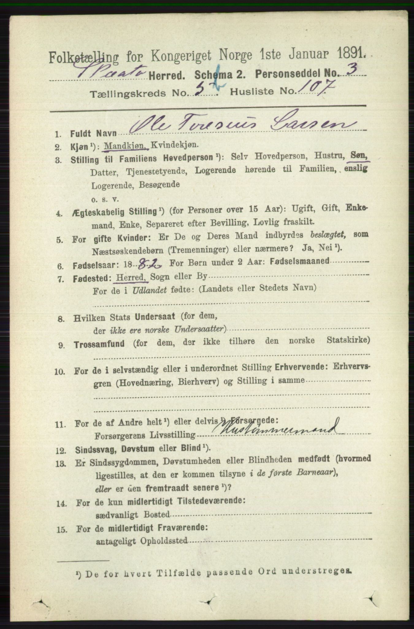 RA, 1891 census for 0815 Skåtøy, 1891, p. 2592