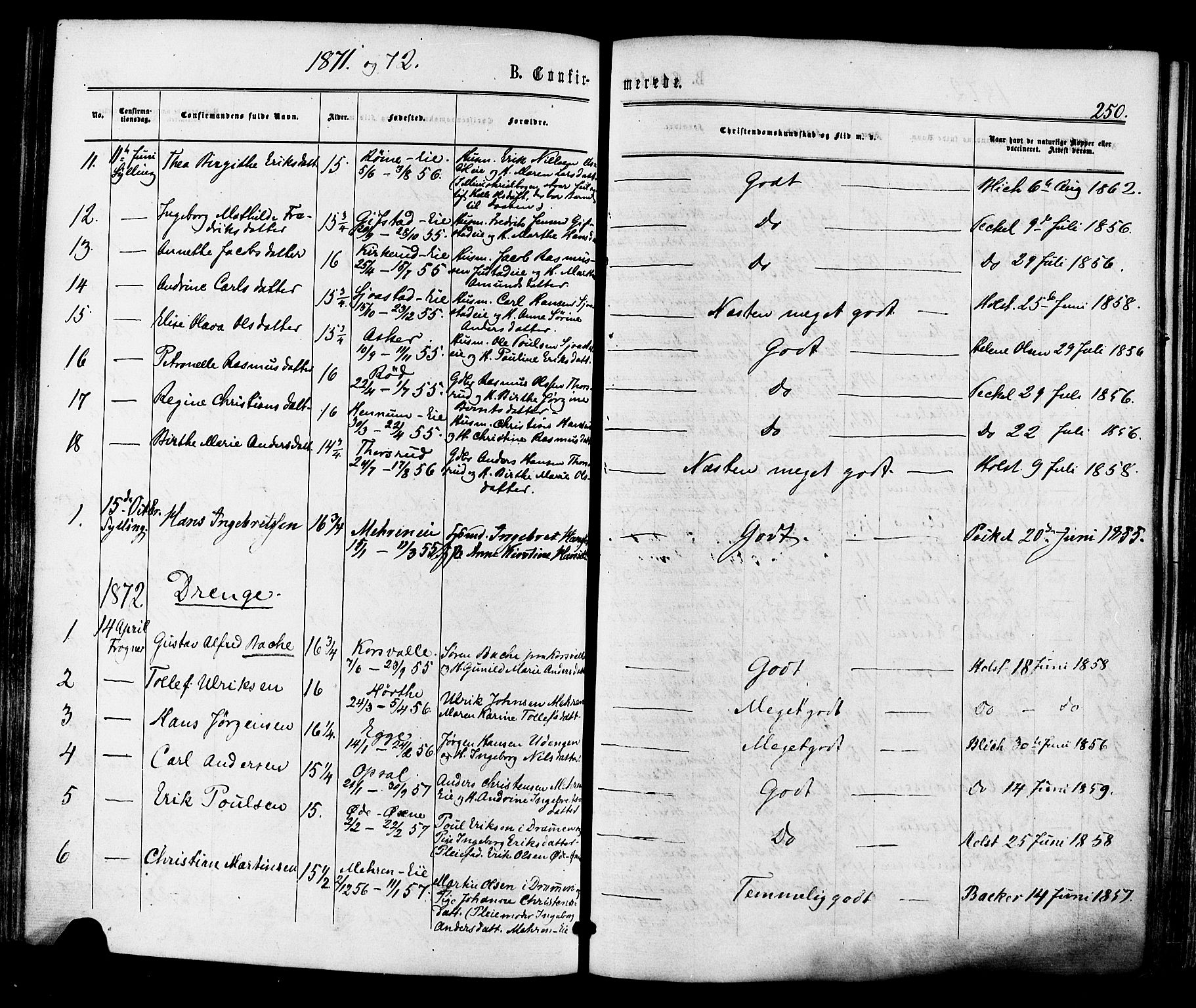 Lier kirkebøker, SAKO/A-230/F/Fa/L0013: Parish register (official) no. I 13, 1865-1874, p. 250