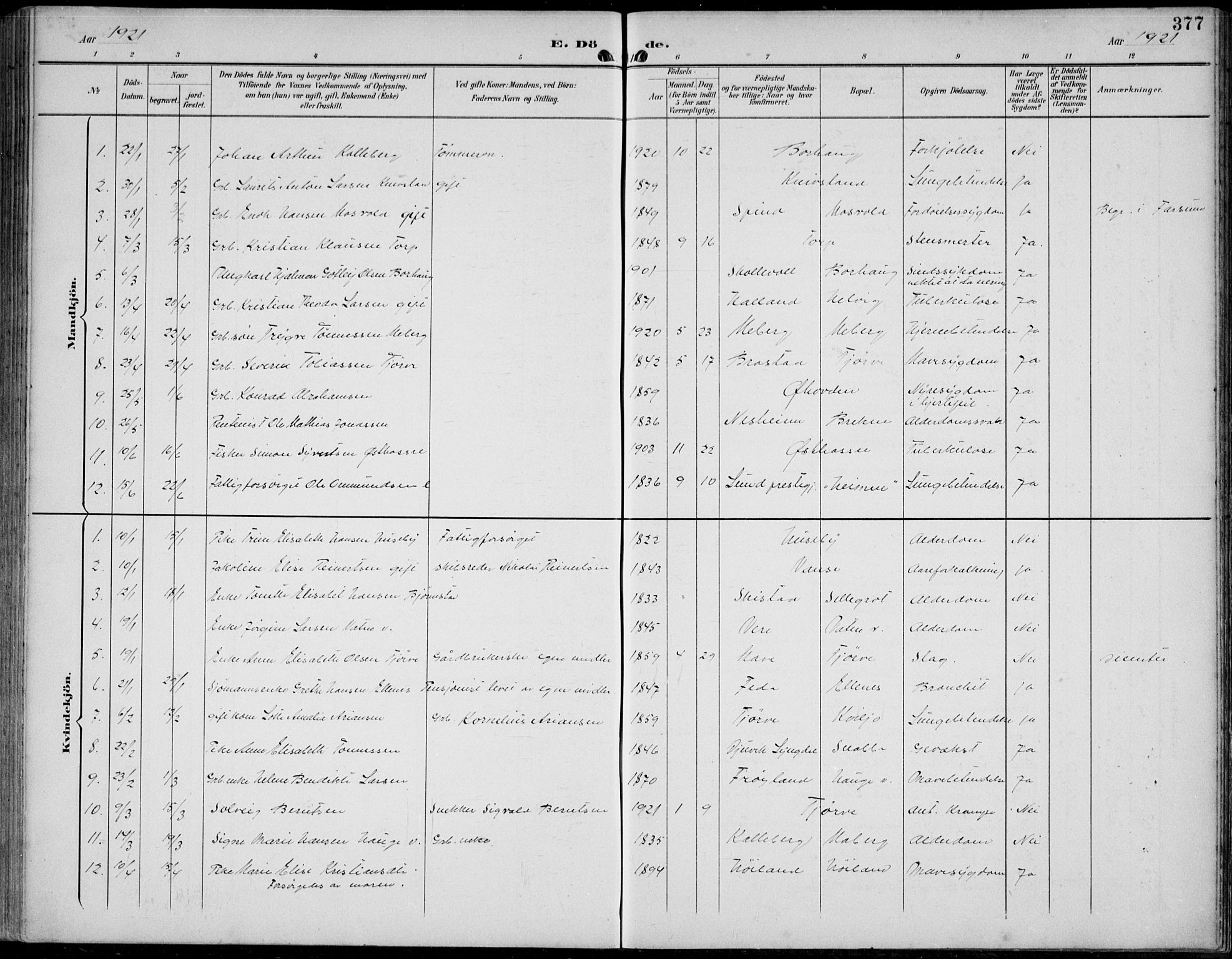 Lista sokneprestkontor, AV/SAK-1111-0027/F/Fb/L0005: Parish register (copy) no. B 5, 1892-1923, p. 377