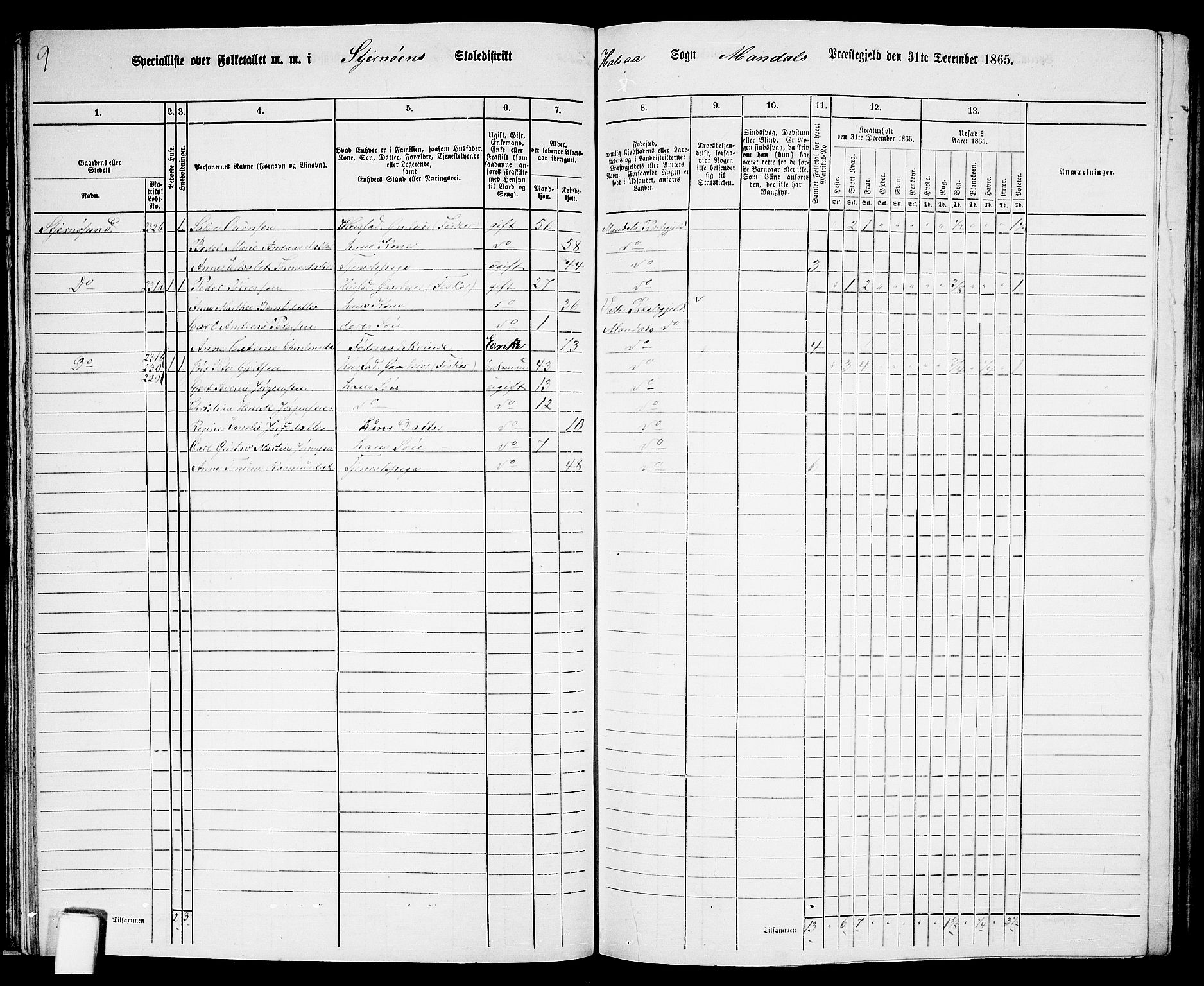 RA, 1865 census for Mandal/Halse og Harkmark, 1865, p. 42