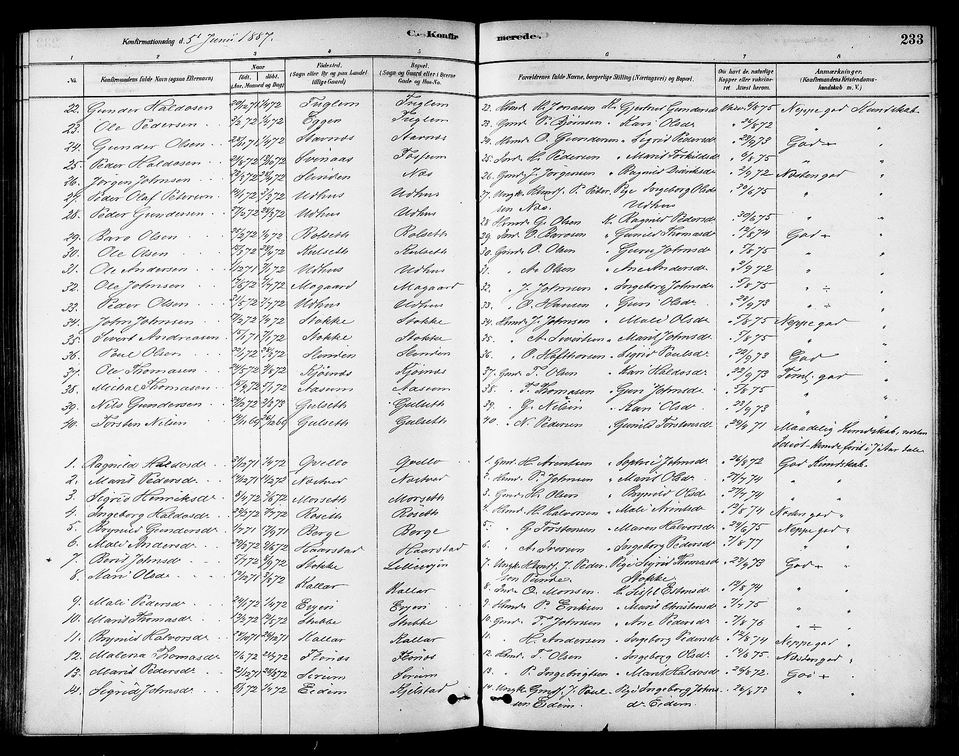 Ministerialprotokoller, klokkerbøker og fødselsregistre - Sør-Trøndelag, SAT/A-1456/695/L1148: Parish register (official) no. 695A08, 1878-1891, p. 233