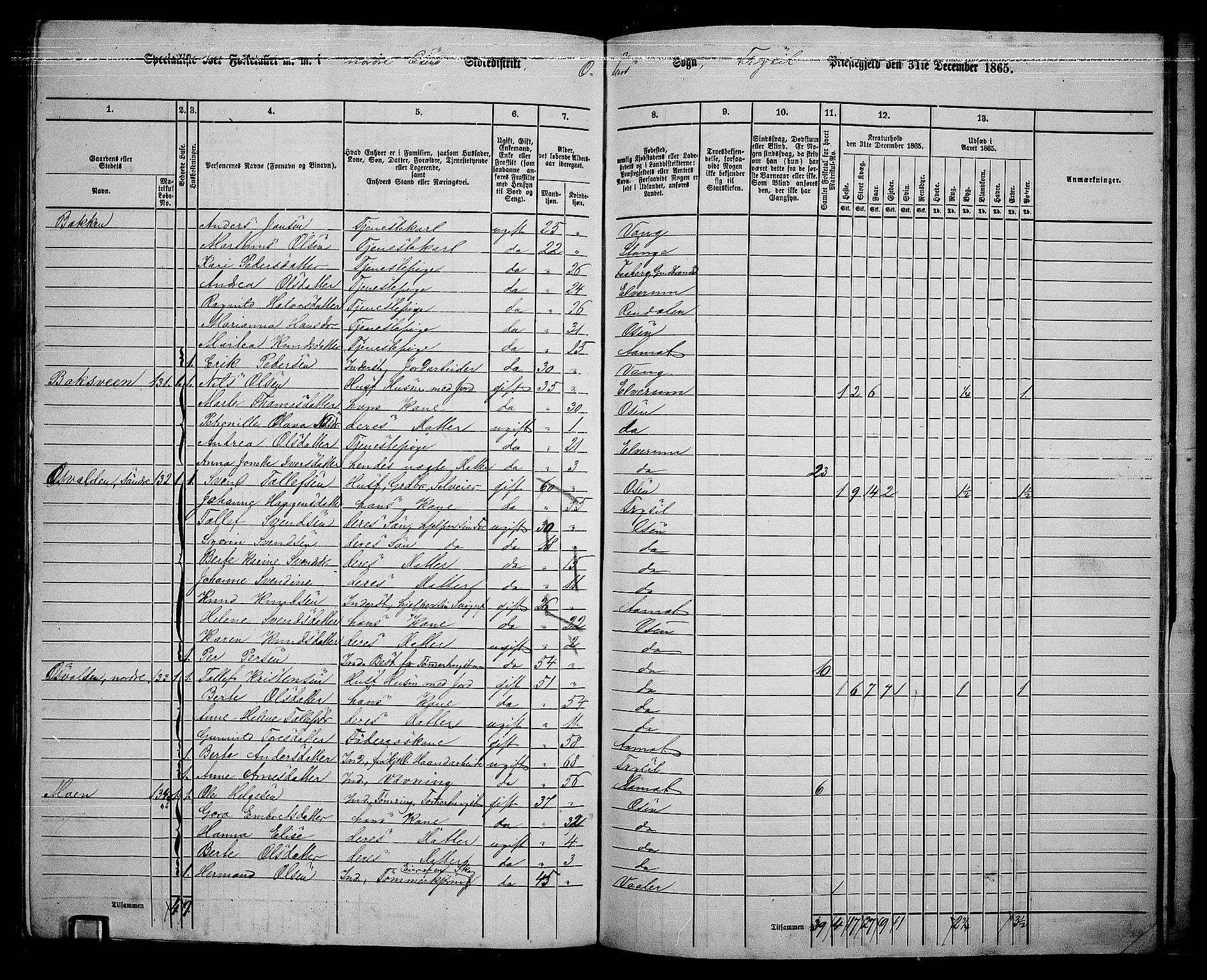 RA, 1865 census for Trysil, 1865, p. 154