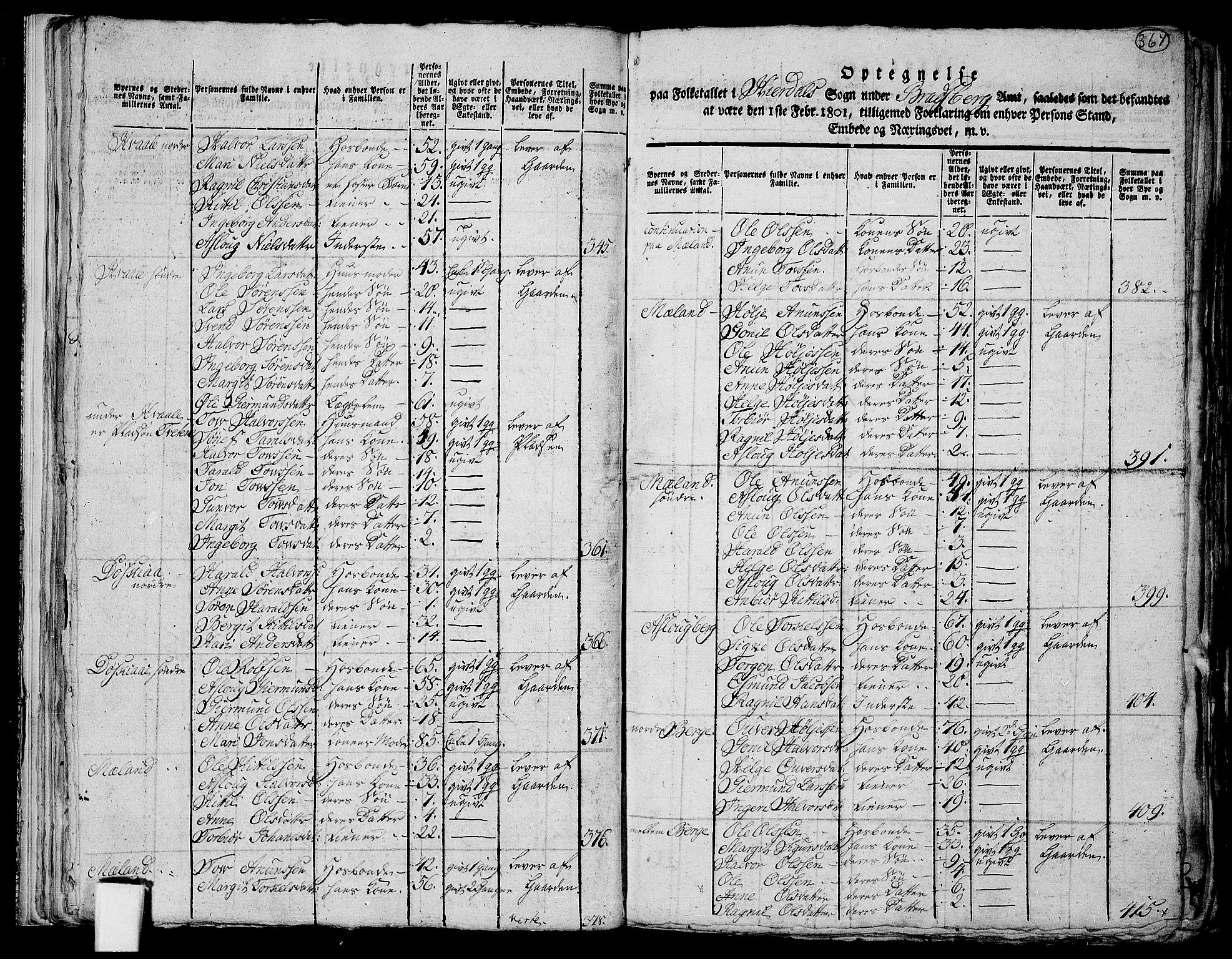 RA, 1801 census for 0827P Hjartdal, 1801, p. 366b-367a