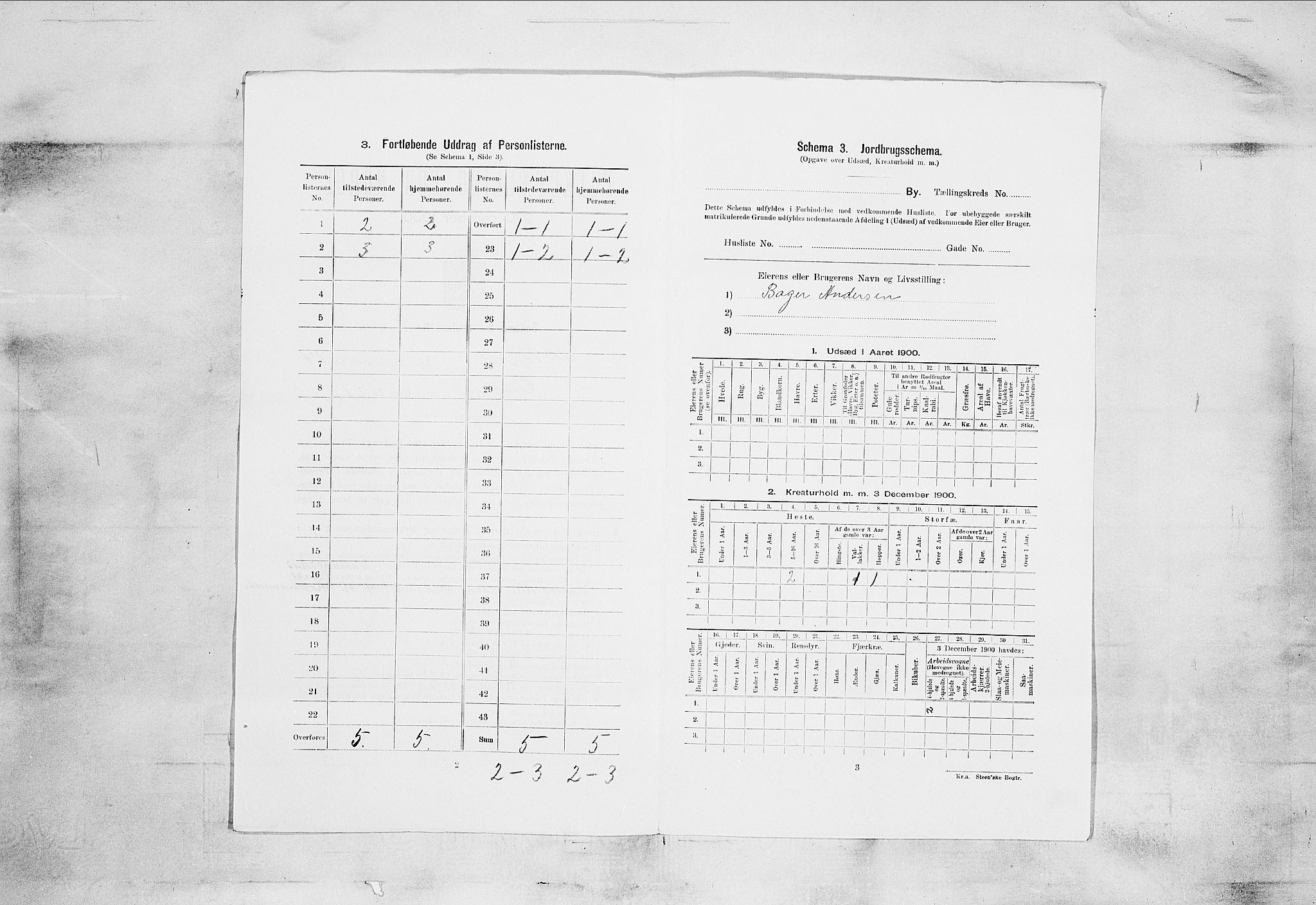 SAKO, 1900 census for Skien, 1900, p. 2321