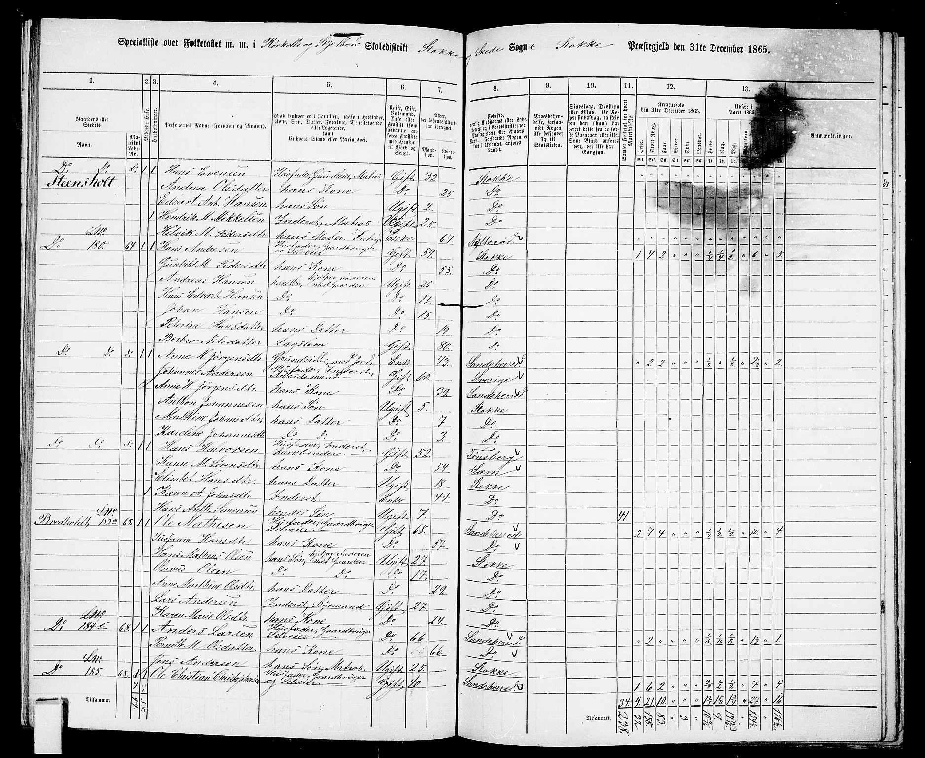 RA, 1865 census for Stokke, 1865, p. 113