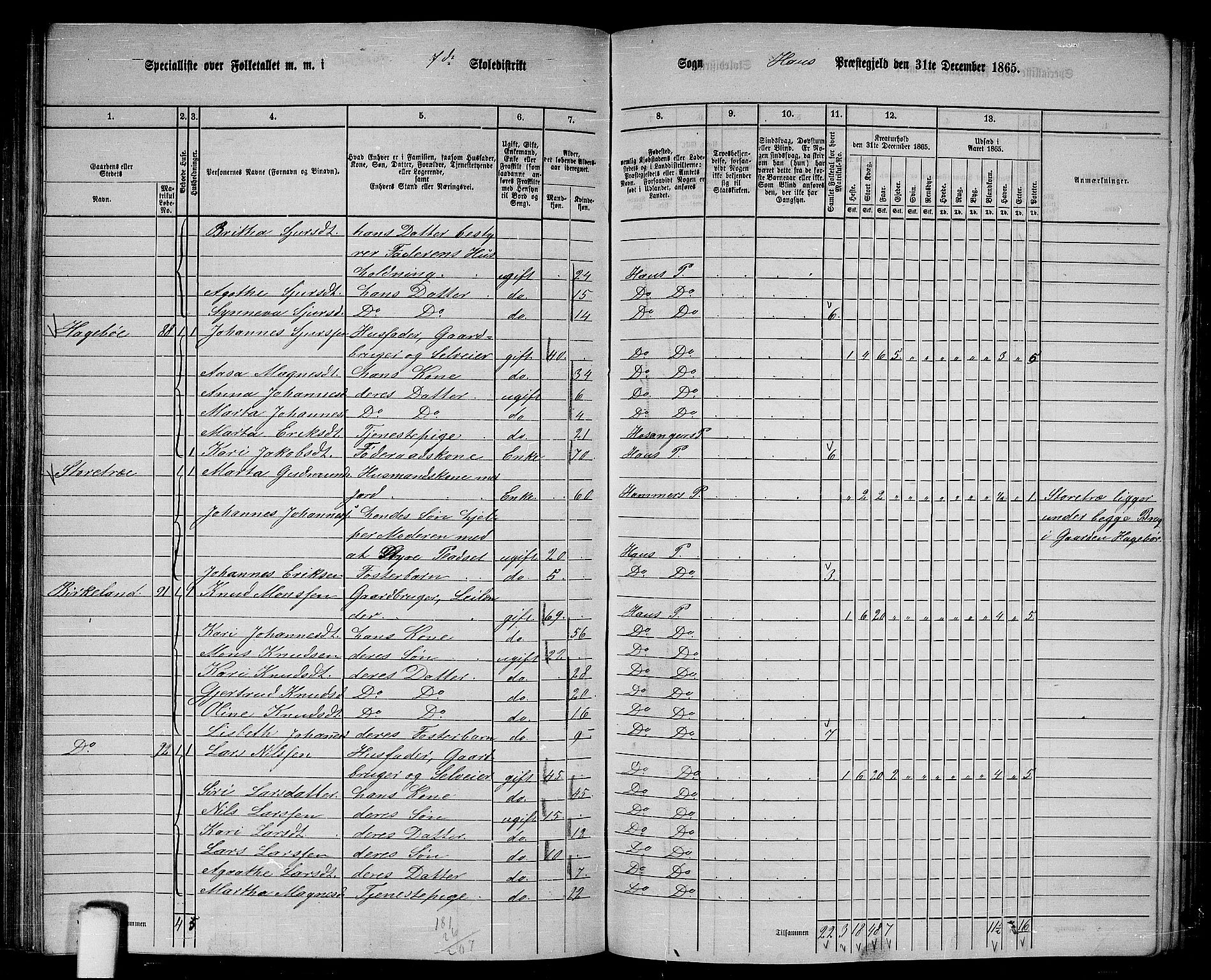 RA, 1865 census for Haus, 1865, p. 134