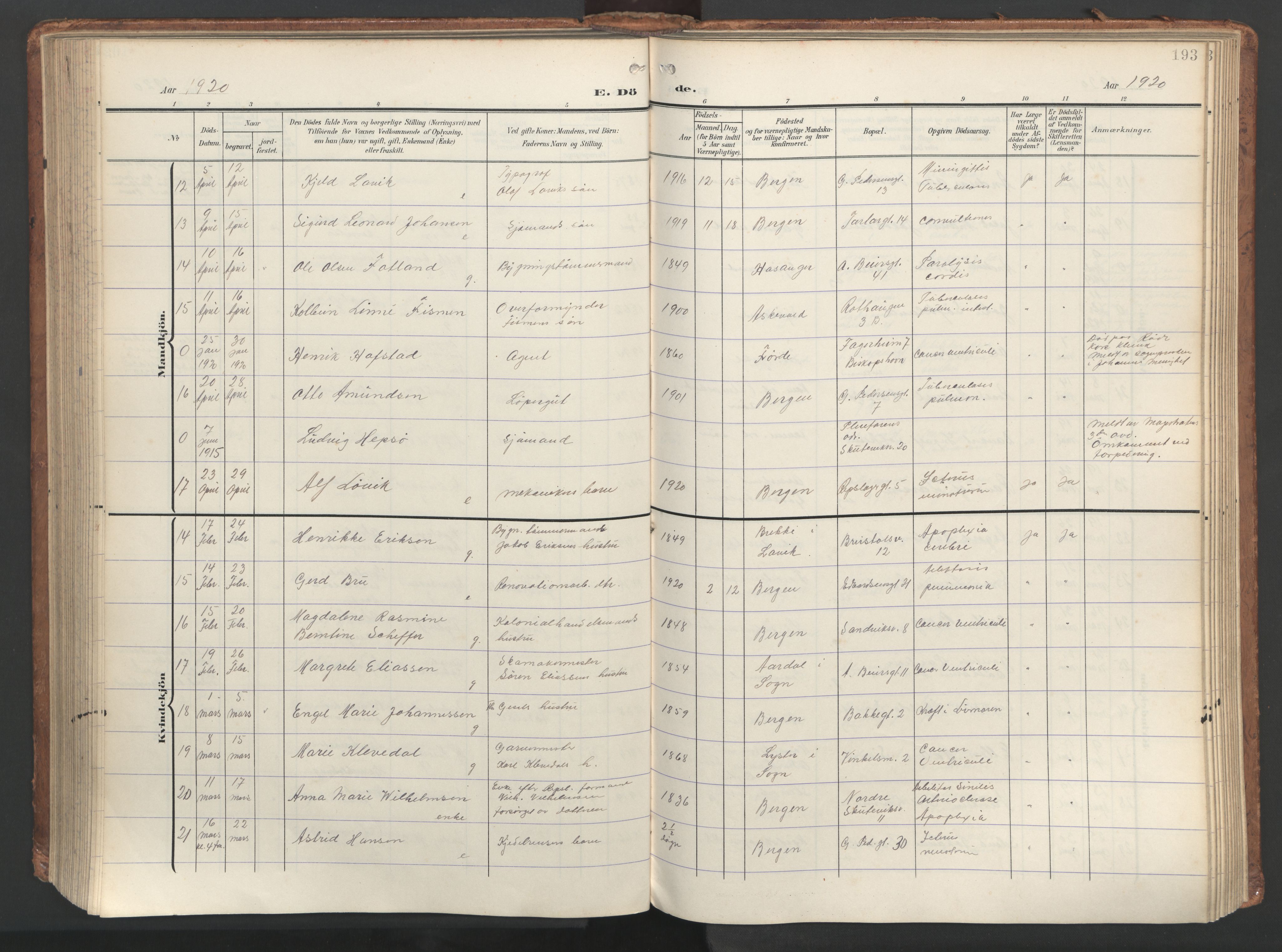 Sandviken Sokneprestembete, AV/SAB-A-77601/H/Ha/L0019: Parish register (official) no. E 2, 1905-1933, p. 193