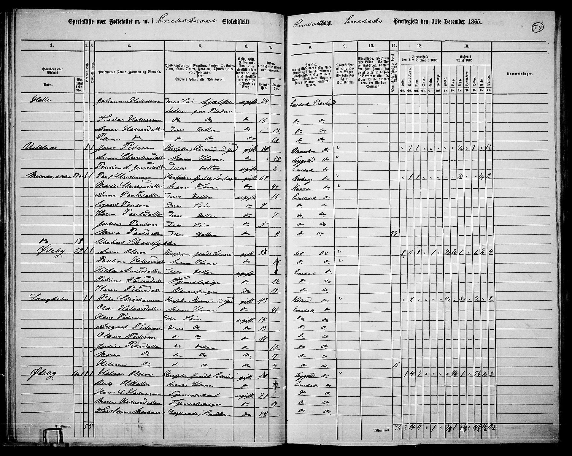 RA, 1865 census for Enebakk, 1865, p. 51