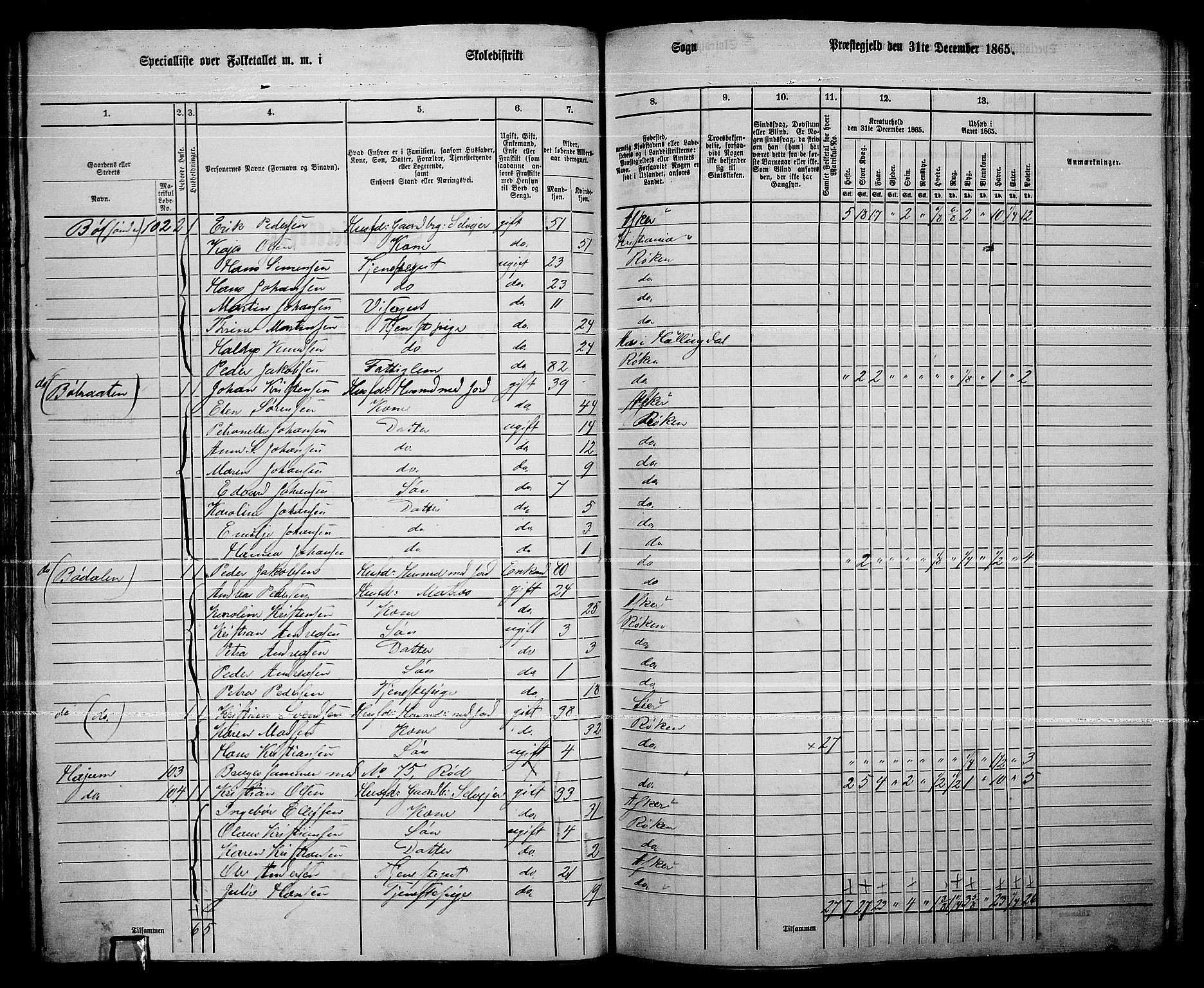 RA, 1865 census for Røyken, 1865, p. 51