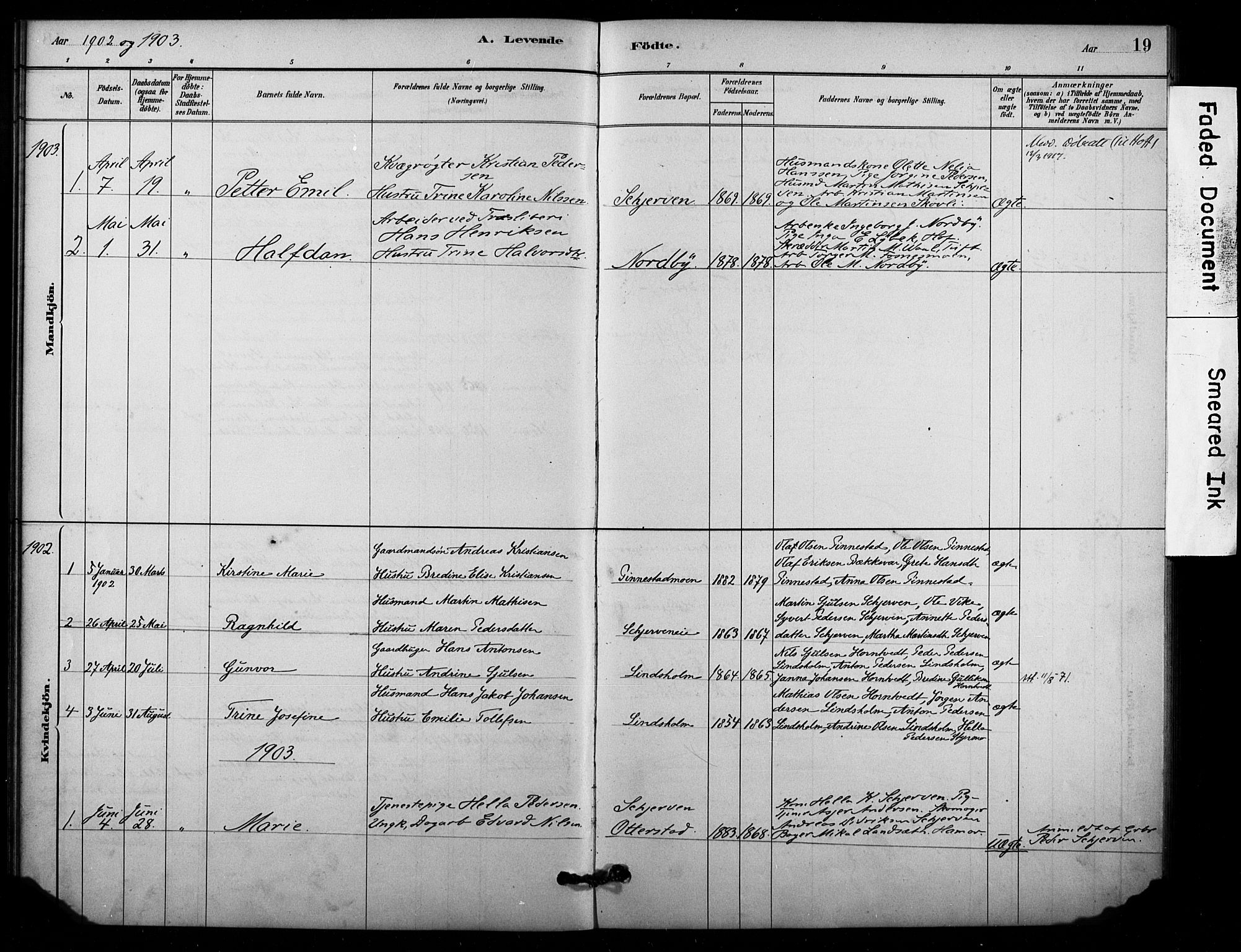 Lardal kirkebøker, AV/SAKO-A-350/F/Fc/L0001: Parish register (official) no. III 1, 1881-1906, p. 19