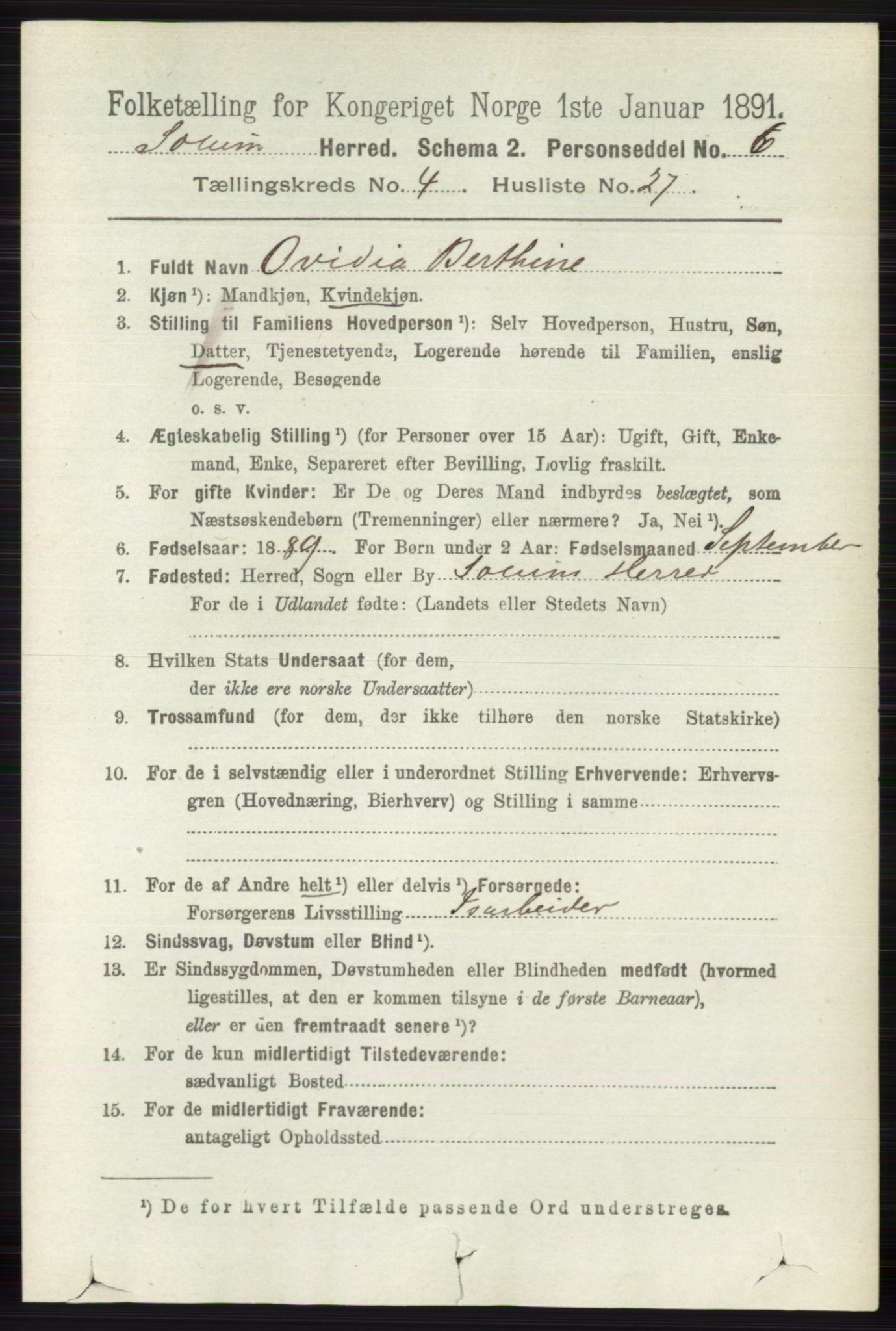 RA, 1891 census for 0818 Solum, 1891, p. 787