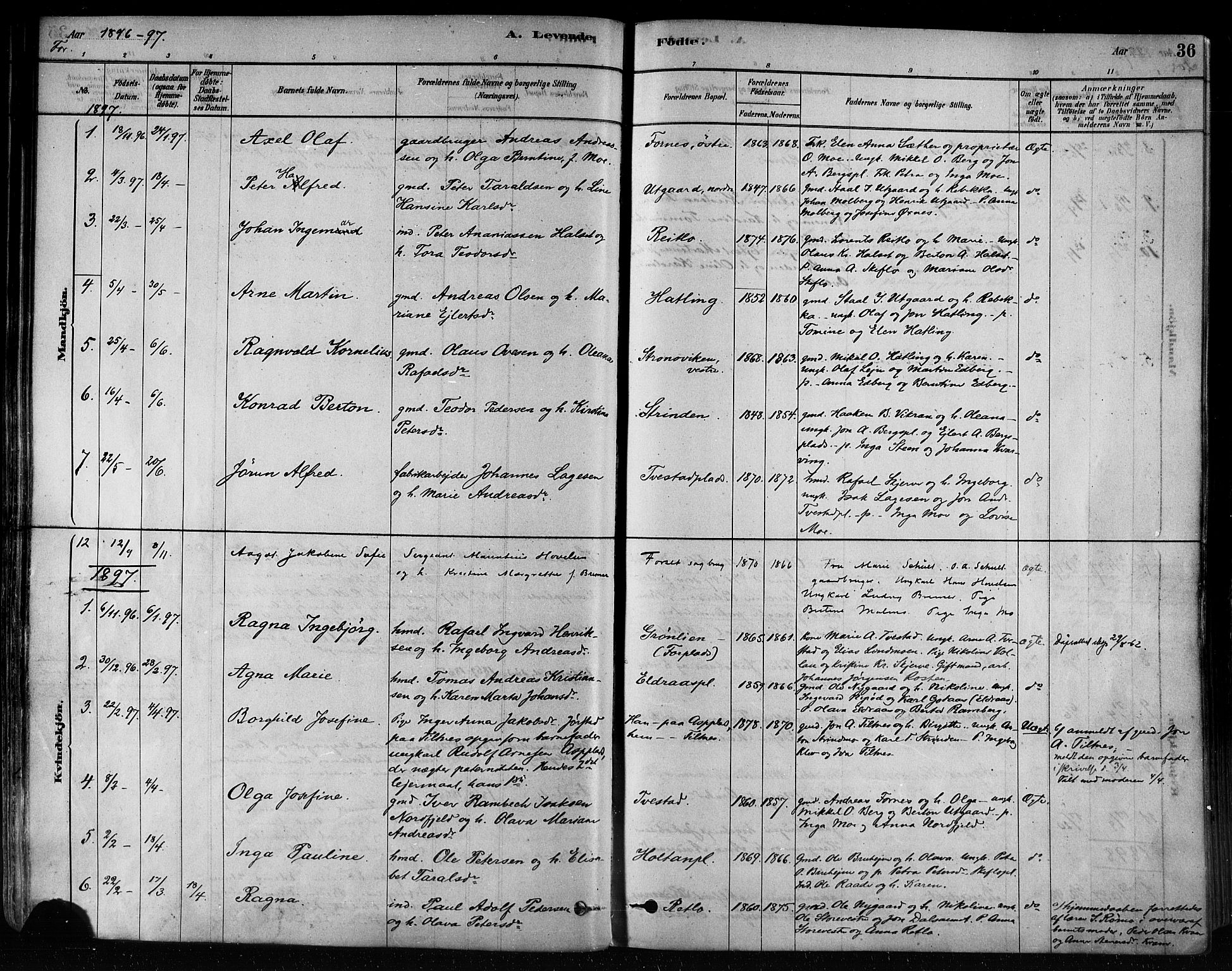 Ministerialprotokoller, klokkerbøker og fødselsregistre - Nord-Trøndelag, AV/SAT-A-1458/746/L0448: Parish register (official) no. 746A07 /1, 1878-1900, p. 36