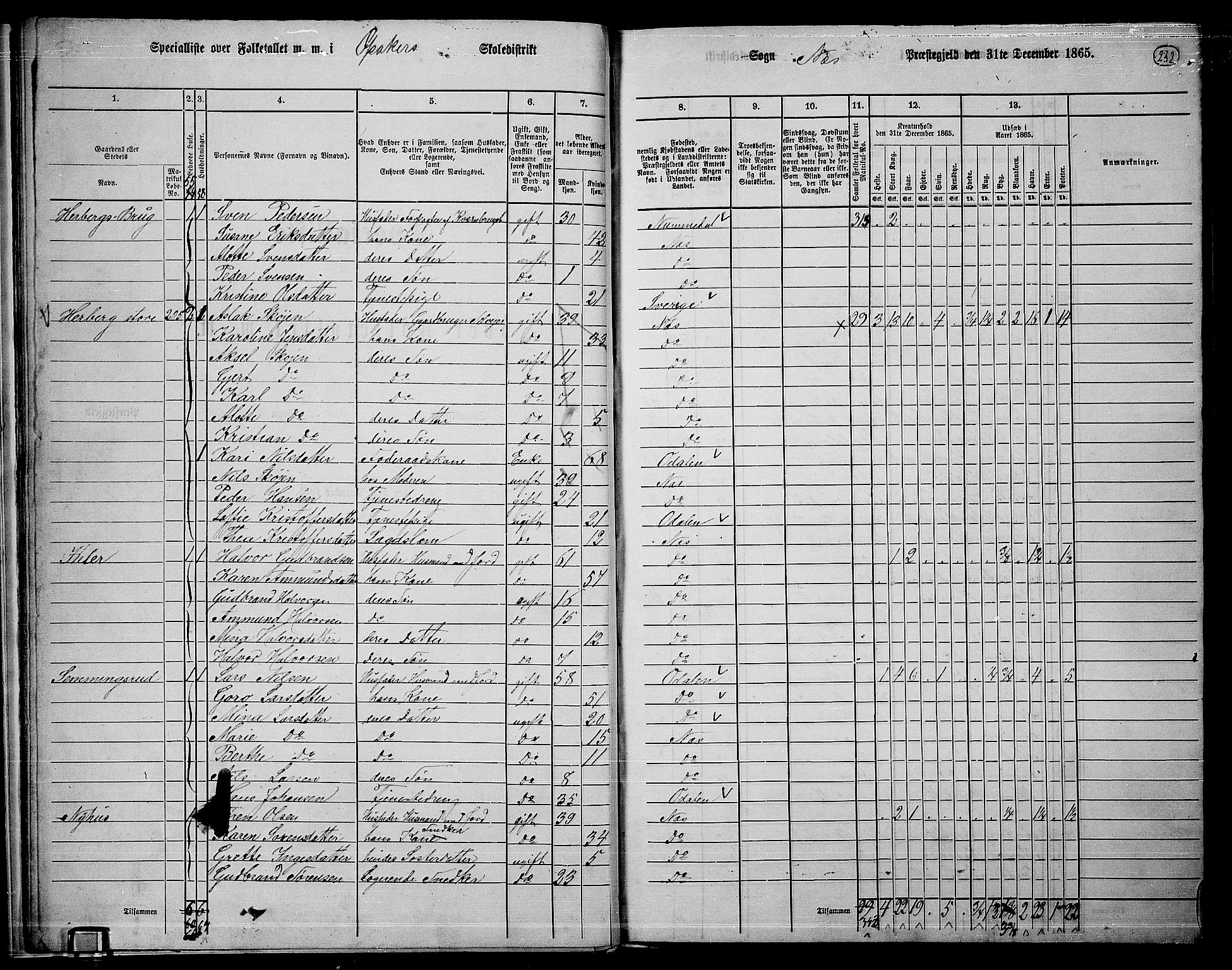 RA, 1865 census for Nes, 1865, p. 215