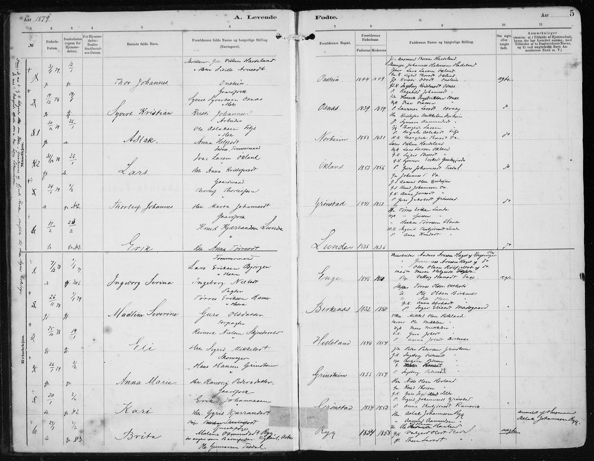 Etne sokneprestembete, SAB/A-75001/H/Haa: Parish register (official) no. B  1, 1879-1919, p. 5