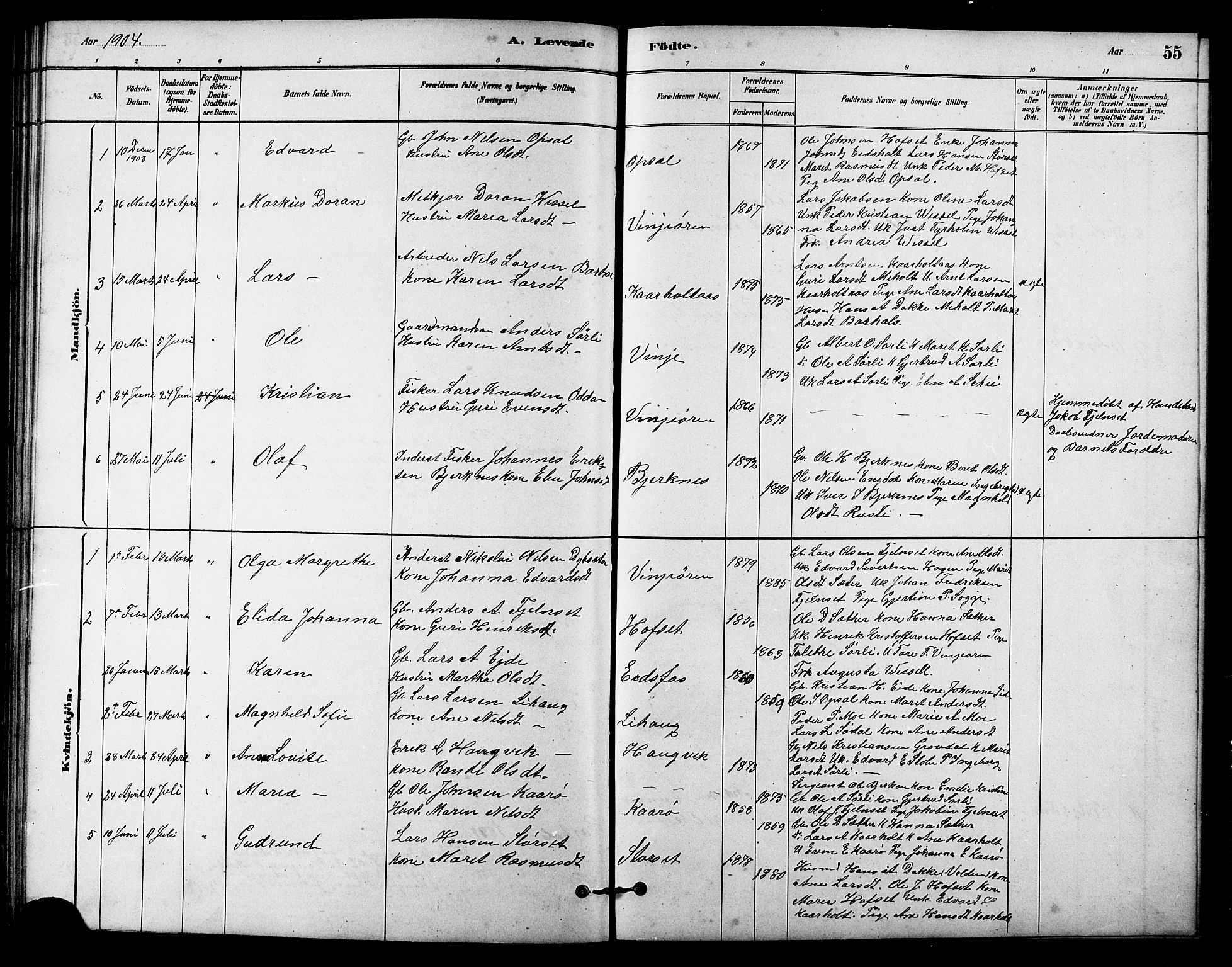 Ministerialprotokoller, klokkerbøker og fødselsregistre - Sør-Trøndelag, SAT/A-1456/631/L0514: Parish register (copy) no. 631C02, 1879-1912, p. 55