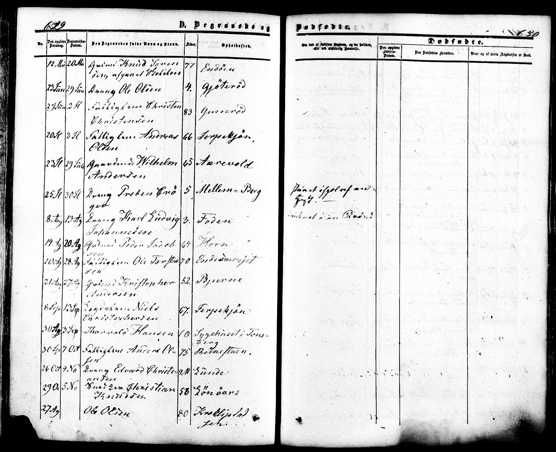 Ramnes kirkebøker, SAKO/A-314/F/Fa/L0006: Parish register (official) no. I 6, 1862-1877, p. 629-630