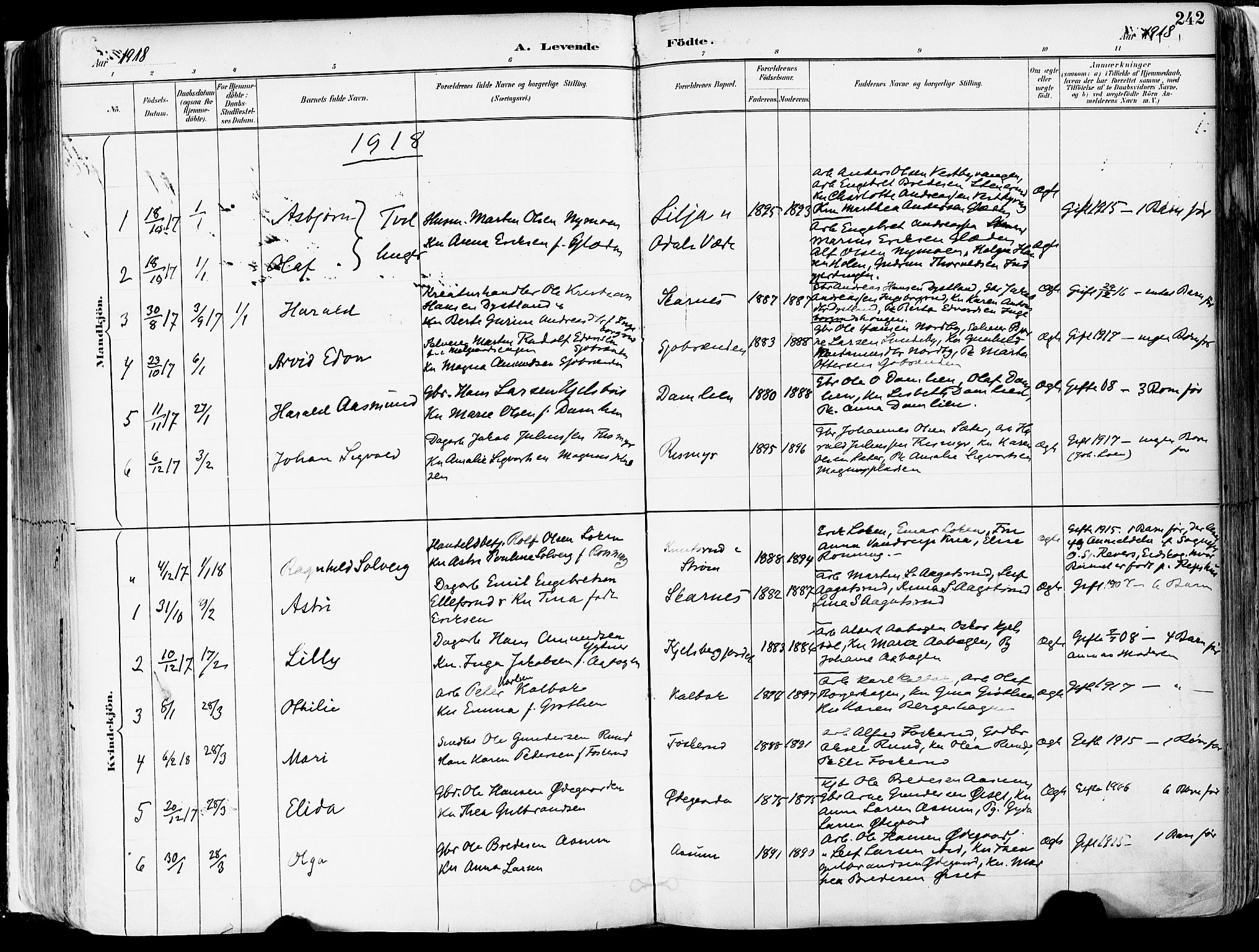 Sør-Odal prestekontor, SAH/PREST-030/H/Ha/Haa/L0006: Parish register (official) no. 6, 1886-1931, p. 242