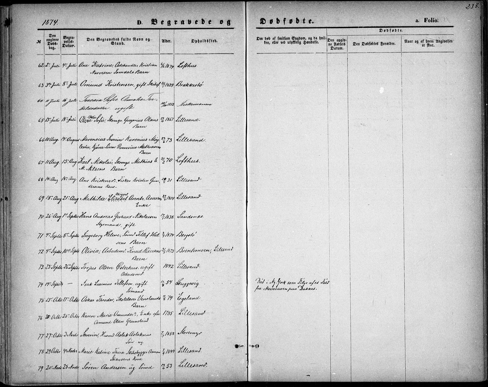 Vestre Moland sokneprestkontor, AV/SAK-1111-0046/F/Fb/Fbb/L0005: Parish register (copy) no. B 5, 1872-1883, p. 238