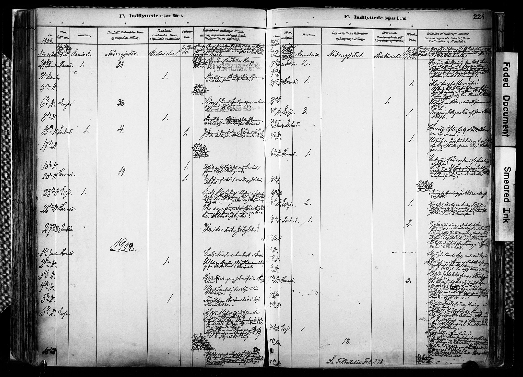 Evje sokneprestkontor, AV/SAK-1111-0008/F/Fa/Faa/L0007: Parish register (official) no. A 7, 1884-1909, p. 224