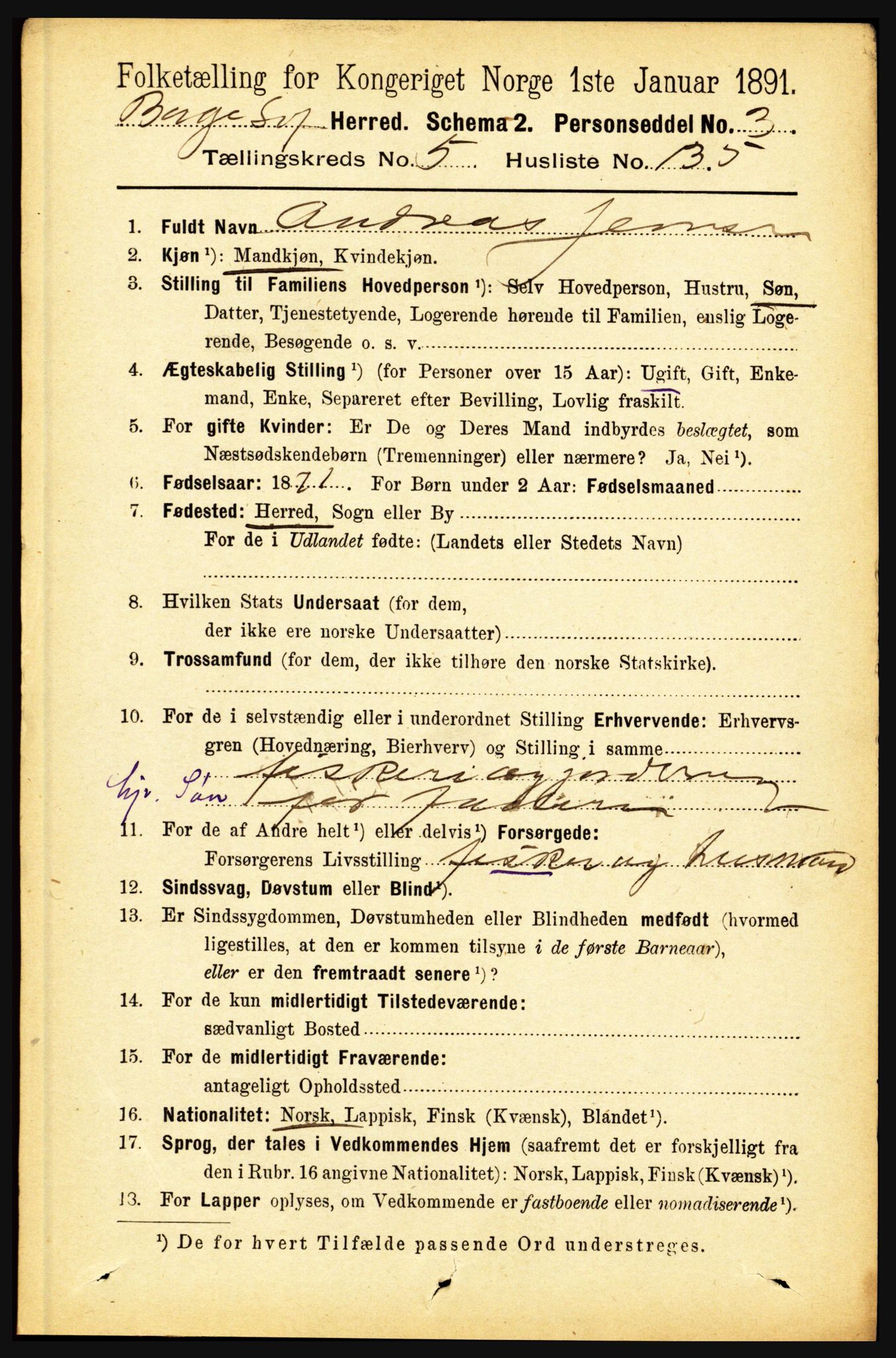 RA, 1891 census for 1862 Borge, 1891, p. 3868