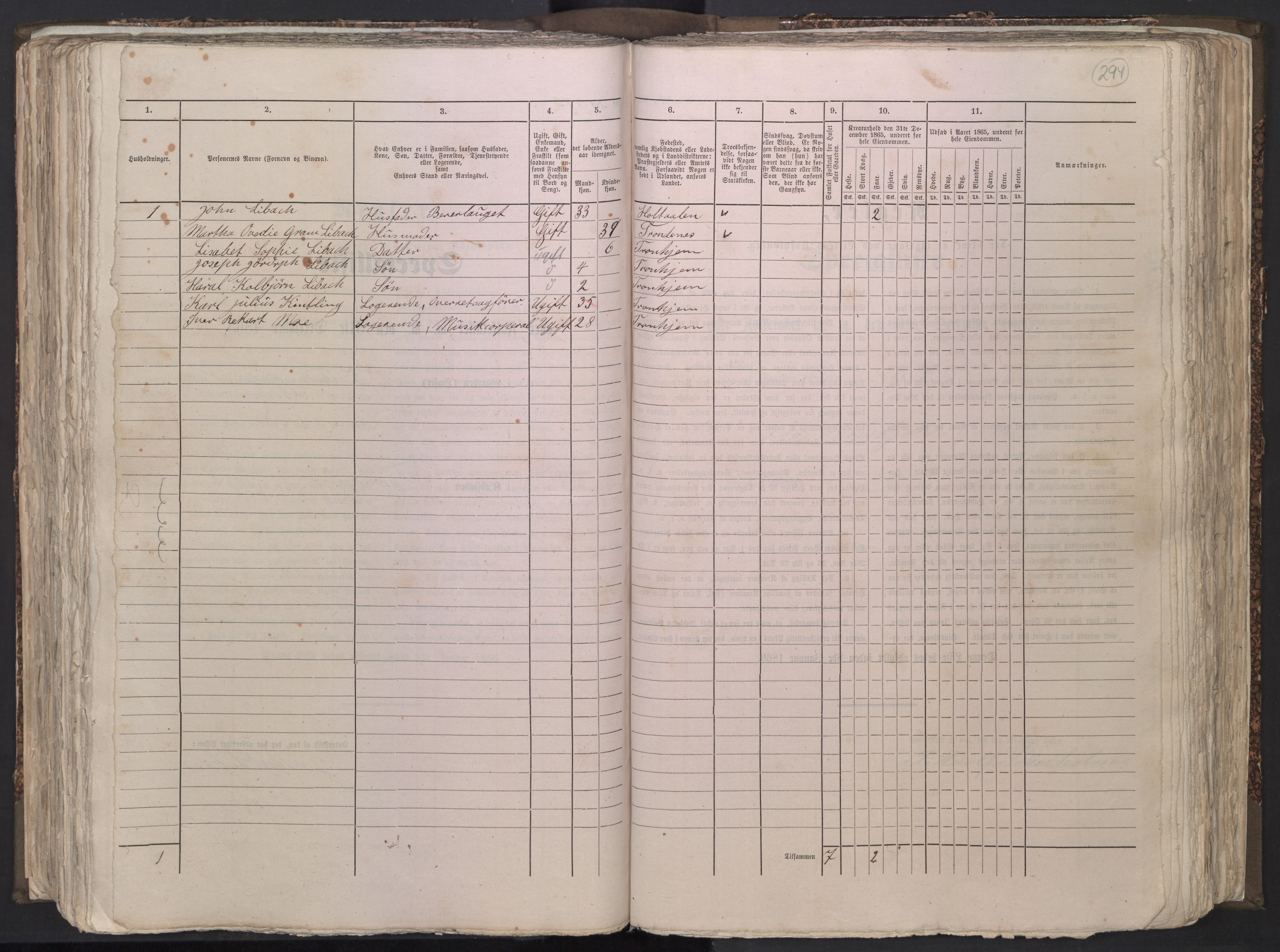 RA, 1865 census for Trondheim, 1865, p. 1335