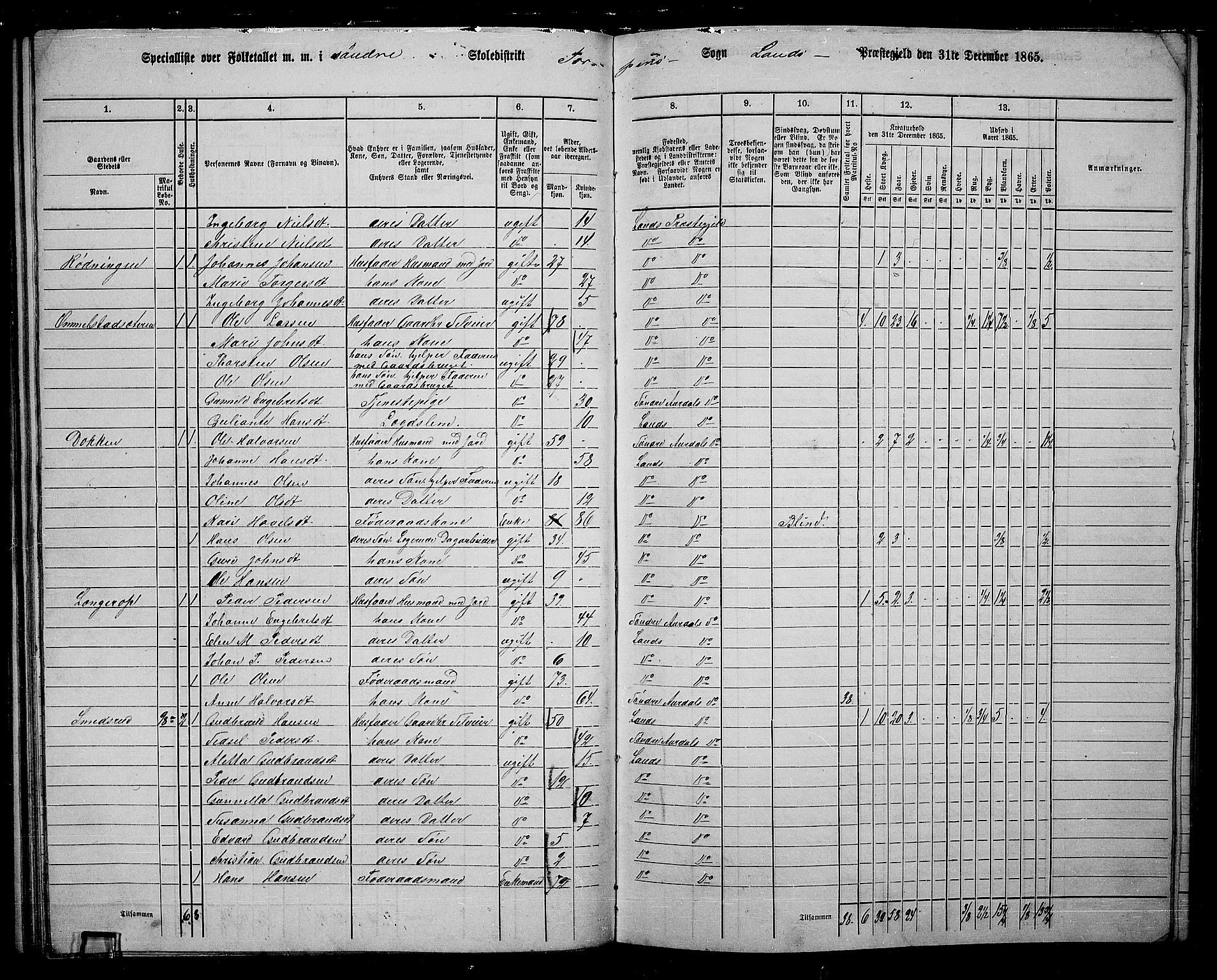 RA, 1865 census for Land, 1865, p. 106