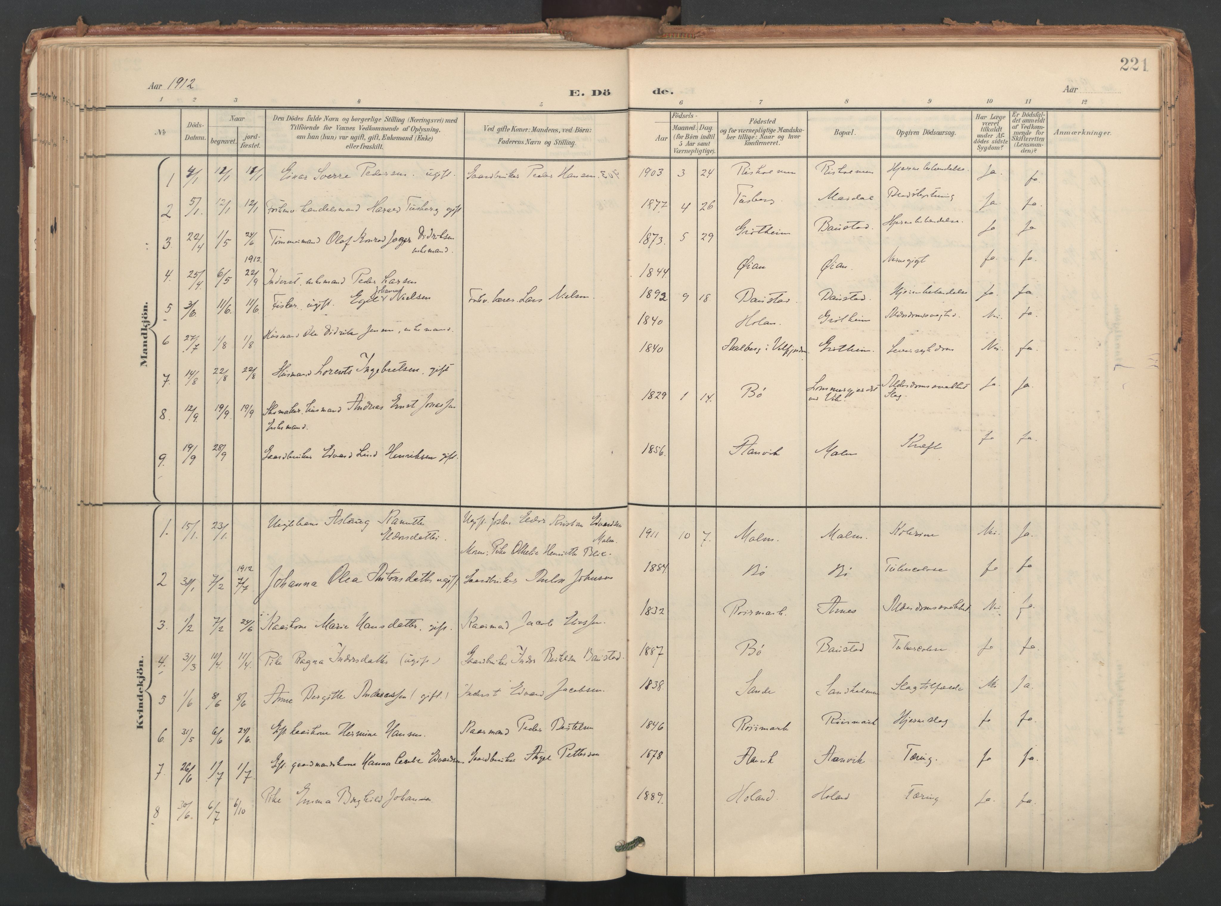 Ministerialprotokoller, klokkerbøker og fødselsregistre - Nordland, AV/SAT-A-1459/812/L0180: Parish register (official) no. 812A09, 1901-1915, p. 221