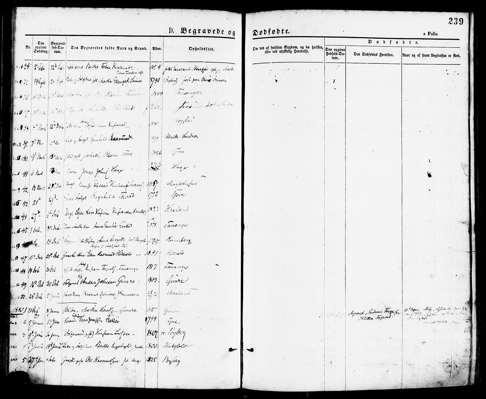 Håland sokneprestkontor, AV/SAST-A-101802/001/30BA/L0009: Parish register (official) no. A 8, 1871-1882, p. 239